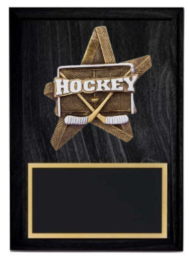 Pro Star Hockey Plaque- 2 Sizes (Includes Engraving)