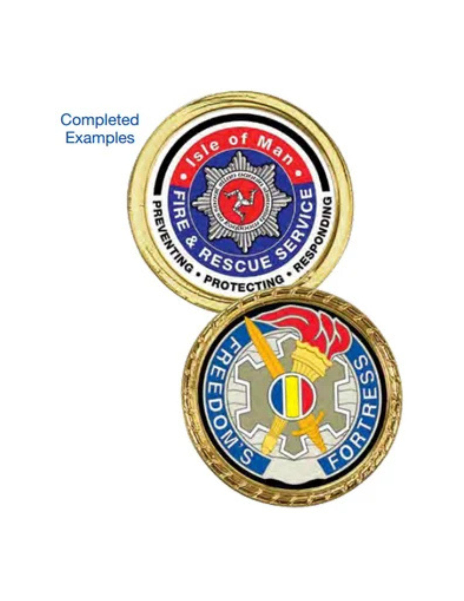 Challenge Coin 1.75" Gold (Includes Disc)