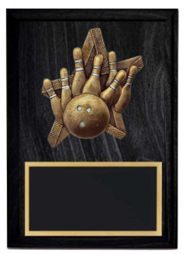 Pro Star 10 Pin Bowling Plaque- 2 Sizes (Includes Engraving)