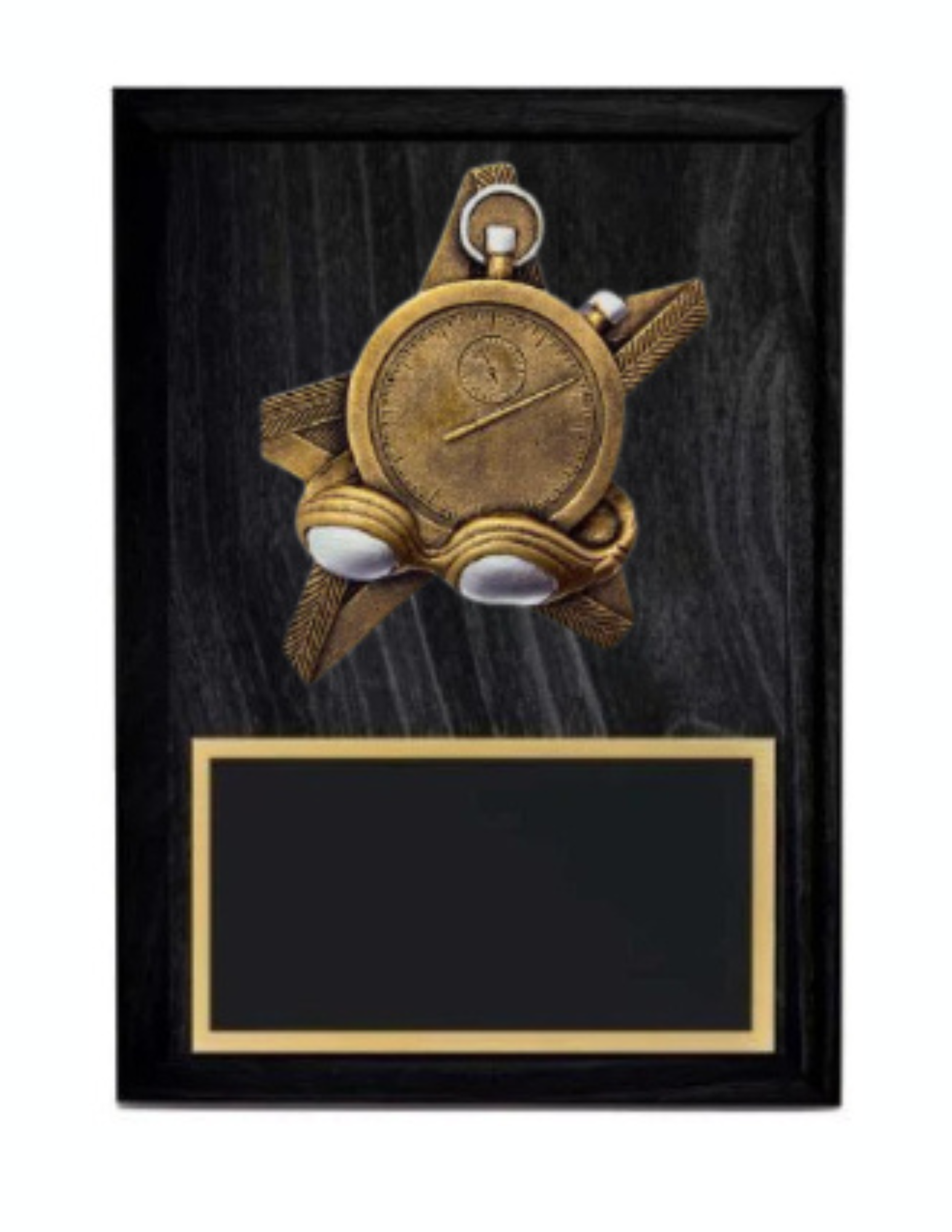 Pro Star Swimming Plaque- 2 Sizes (Includes Engraving)