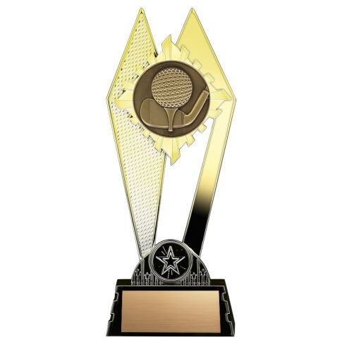 citadel golf gold 3.jpg