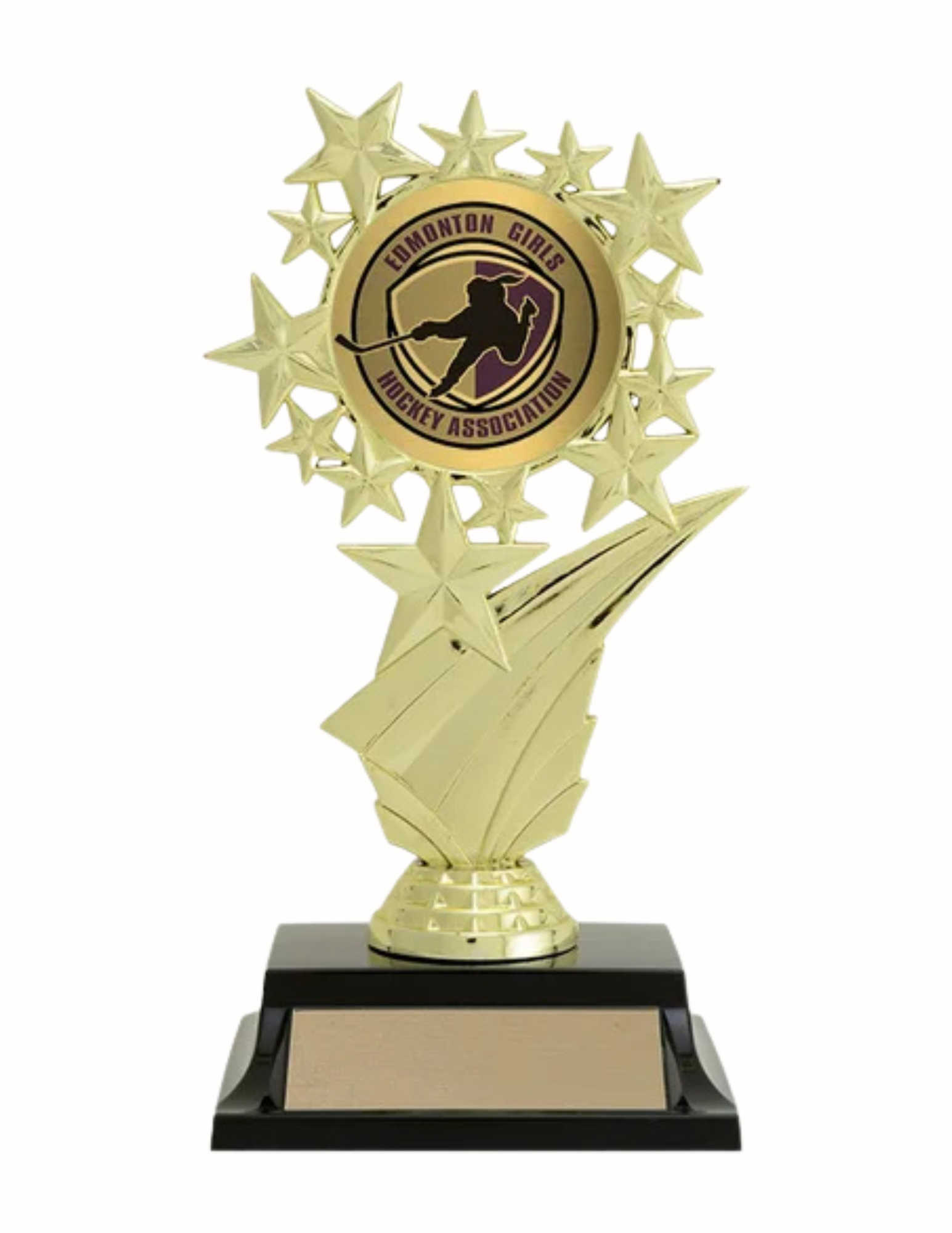Star Swoosh Banner Hockey Trophy 7" (Includes Engraving and 2" Logo)