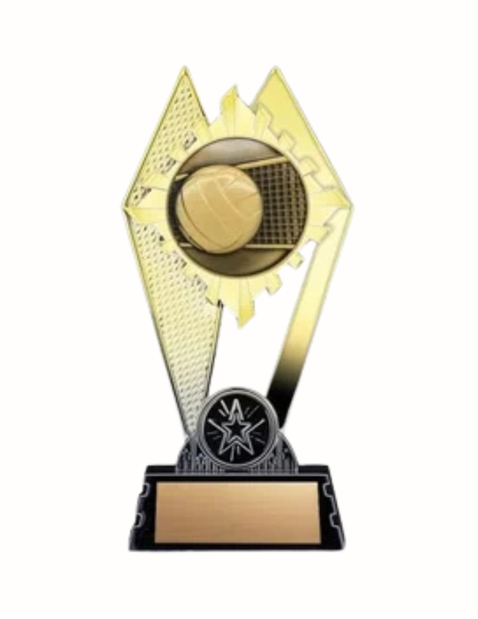 Citadel Volleyball Trophy