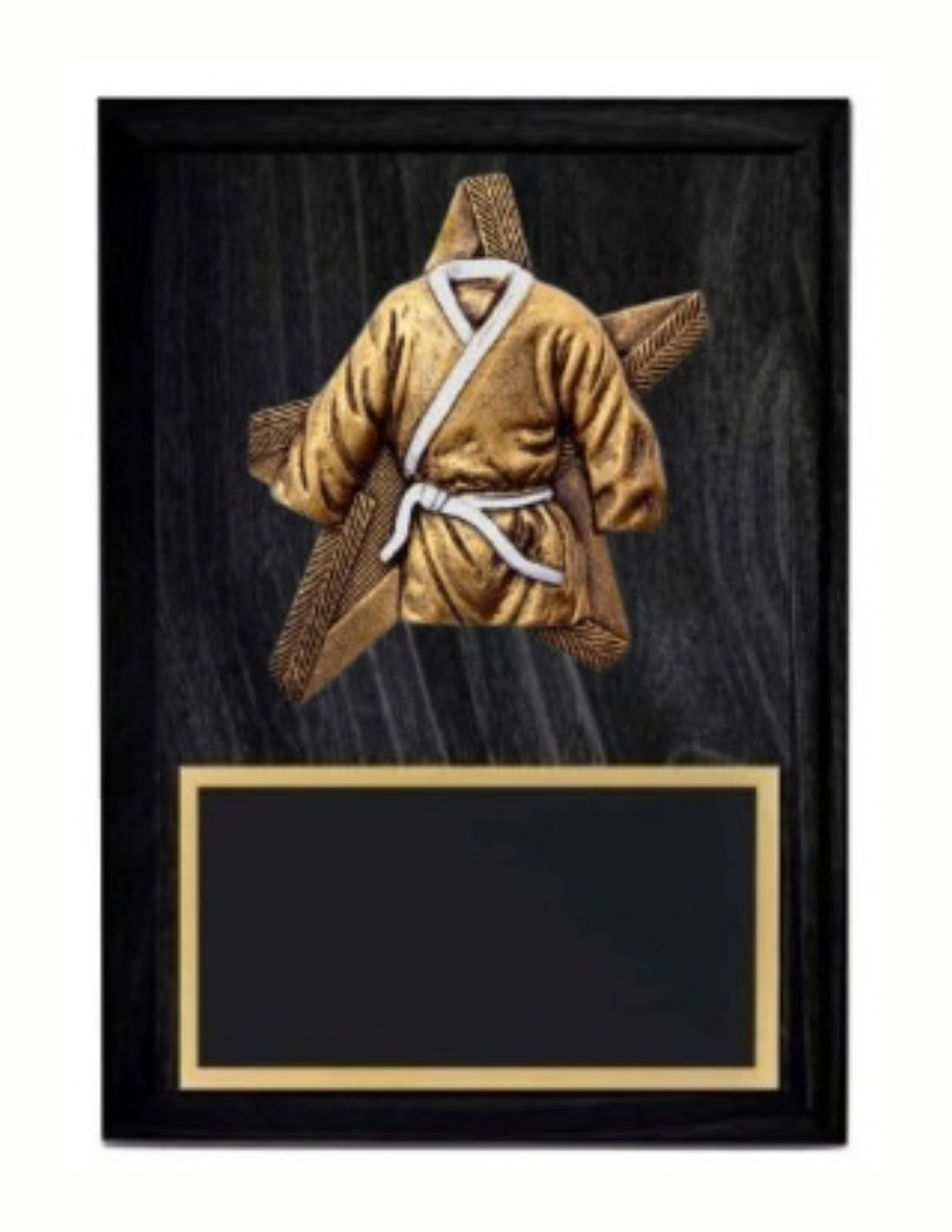 Pro Star Martial Arts Plaque- 2 Sizes (Includes Engraving)