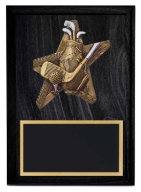 Pro Star Golf Plaque- 2 Sizes (Includes Engraving)