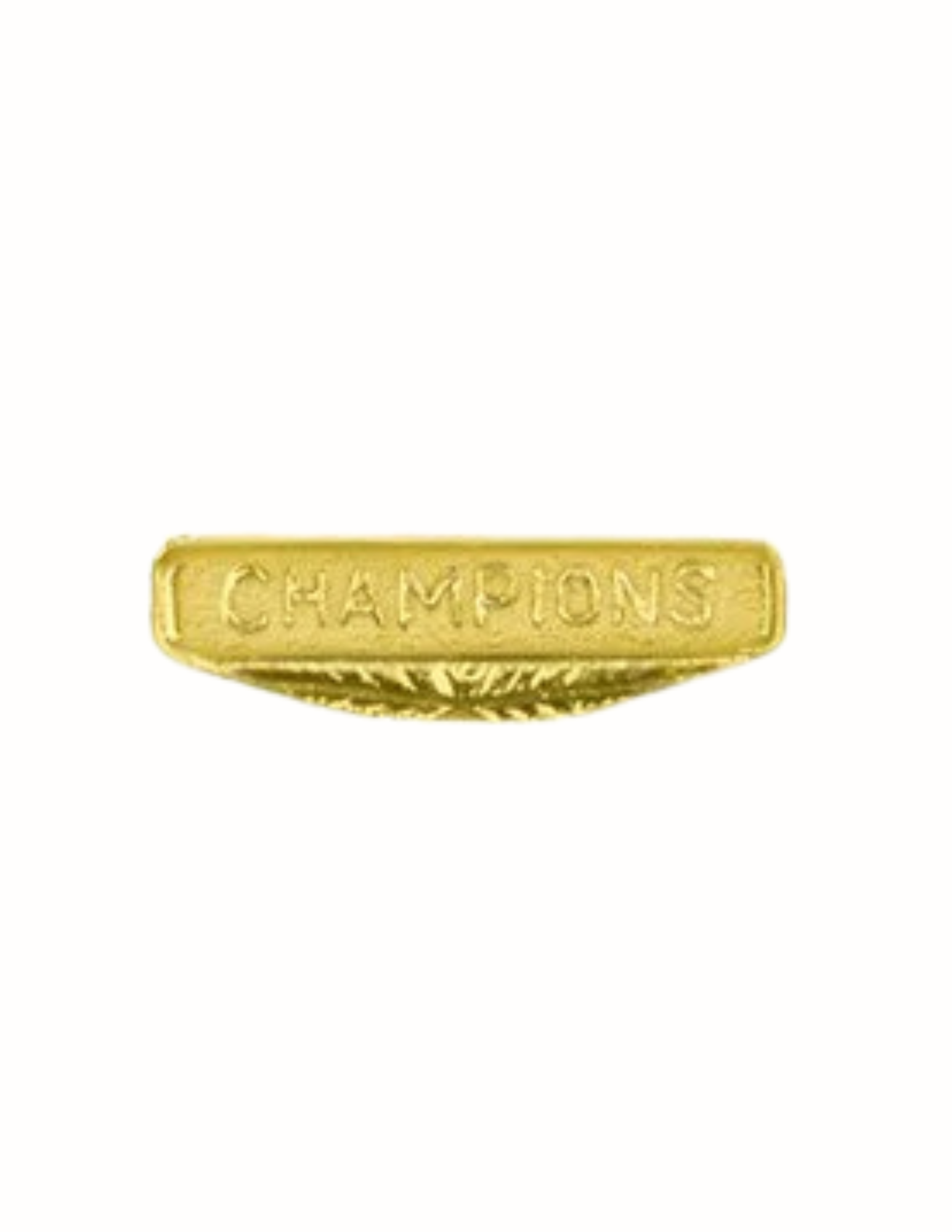 Champions Chenille Pin