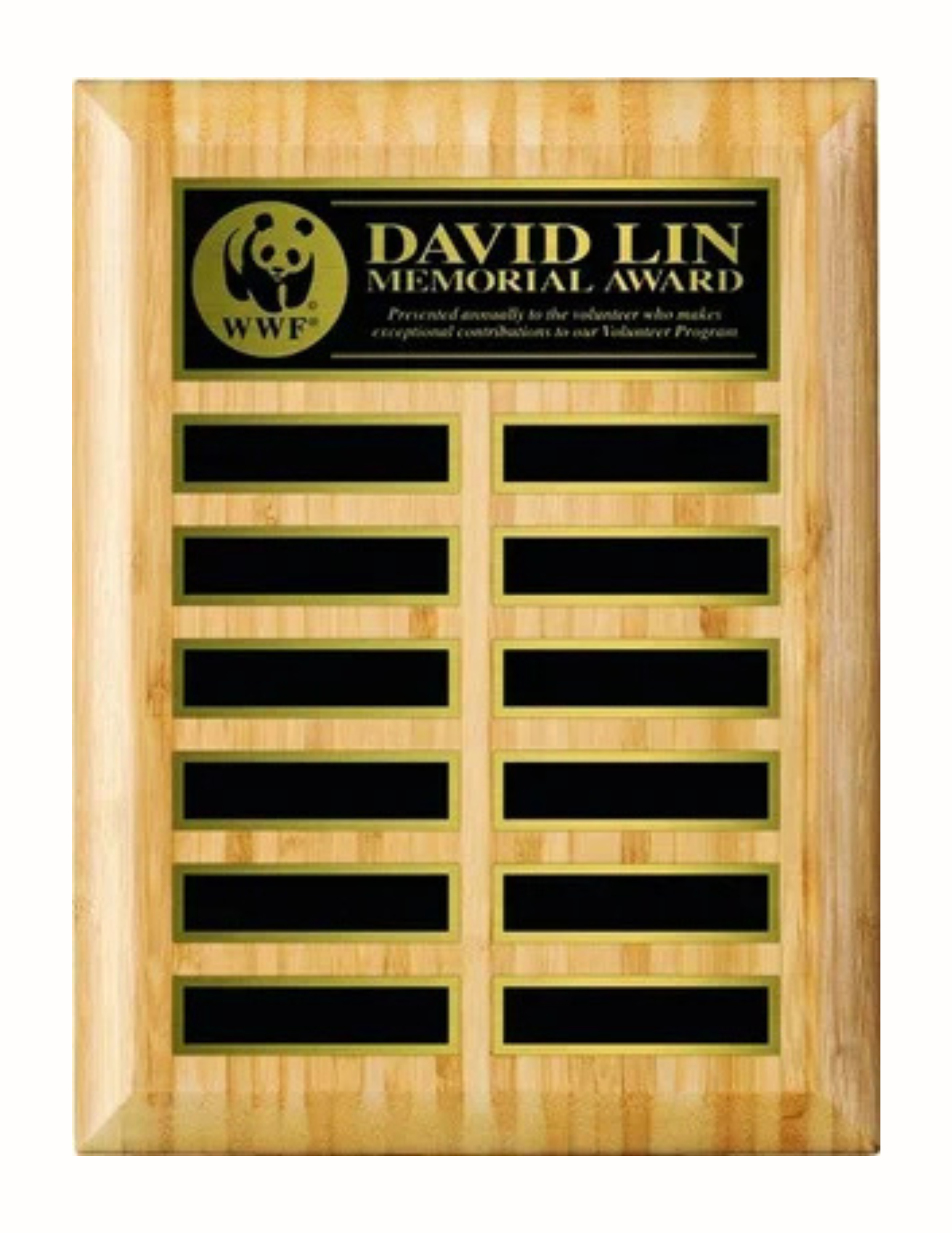 Bamboo Annual Plaque- 2 Sizes (Includes Header- 2 Custom Options)