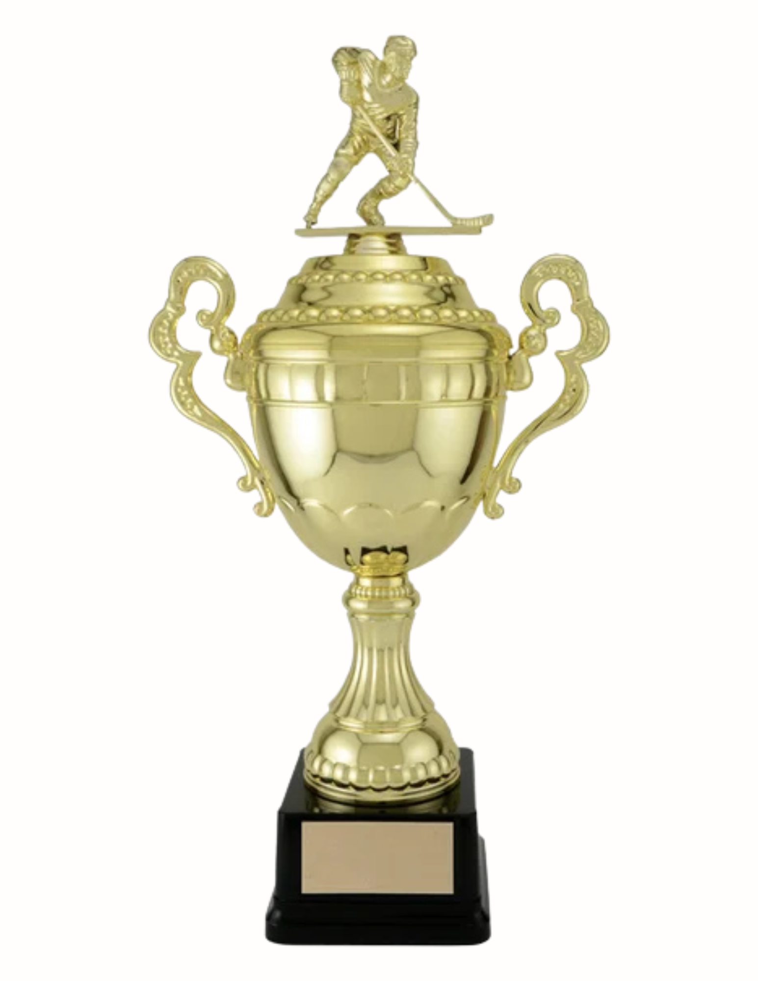 Viceroy Hockey Cup Gold- 5 Sizes (Includes Engraving)