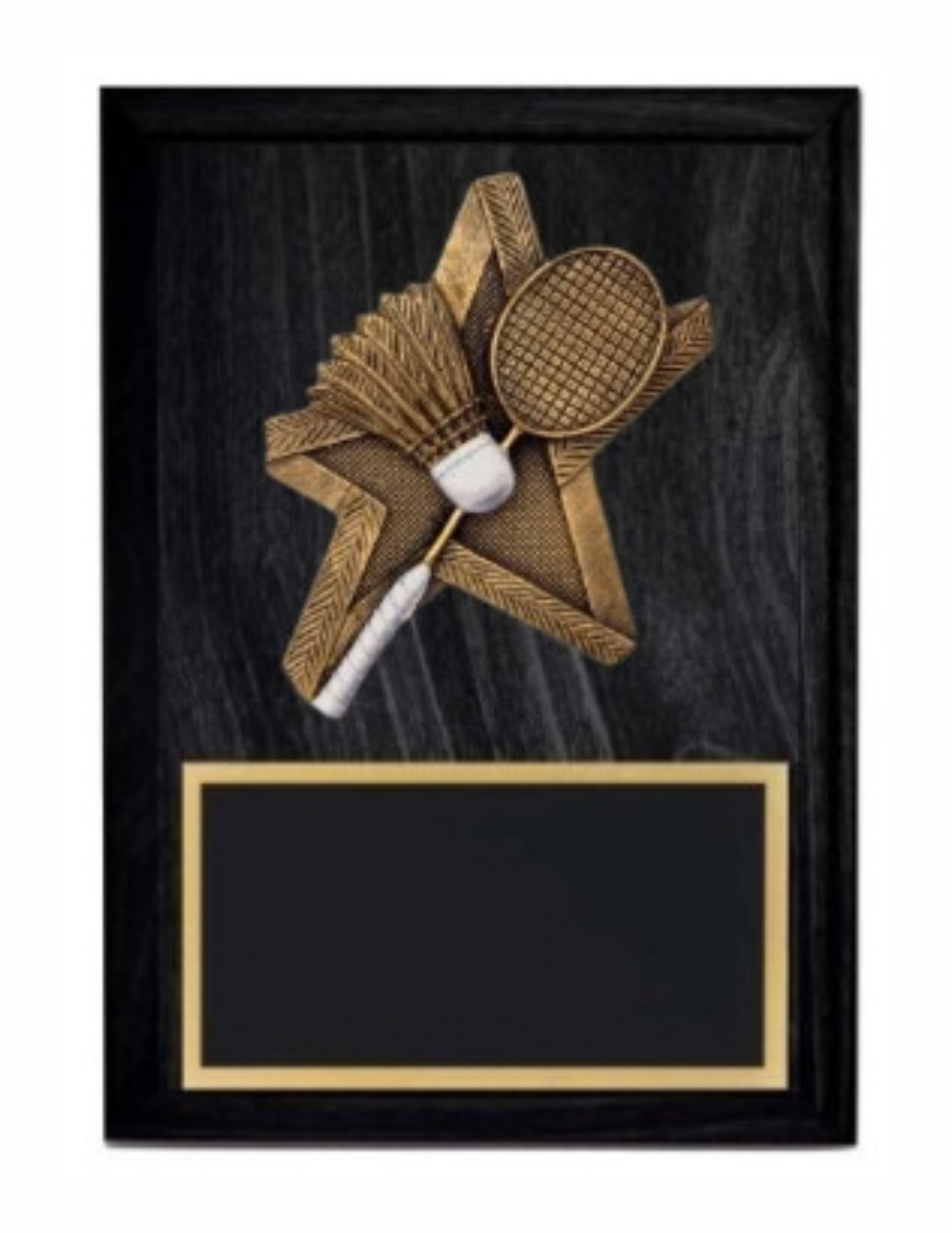 Pro Star Badminton Plaque