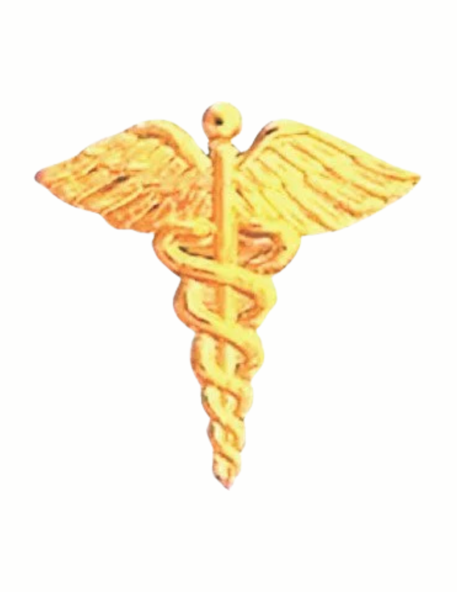 Gold Caduceus Service Pin