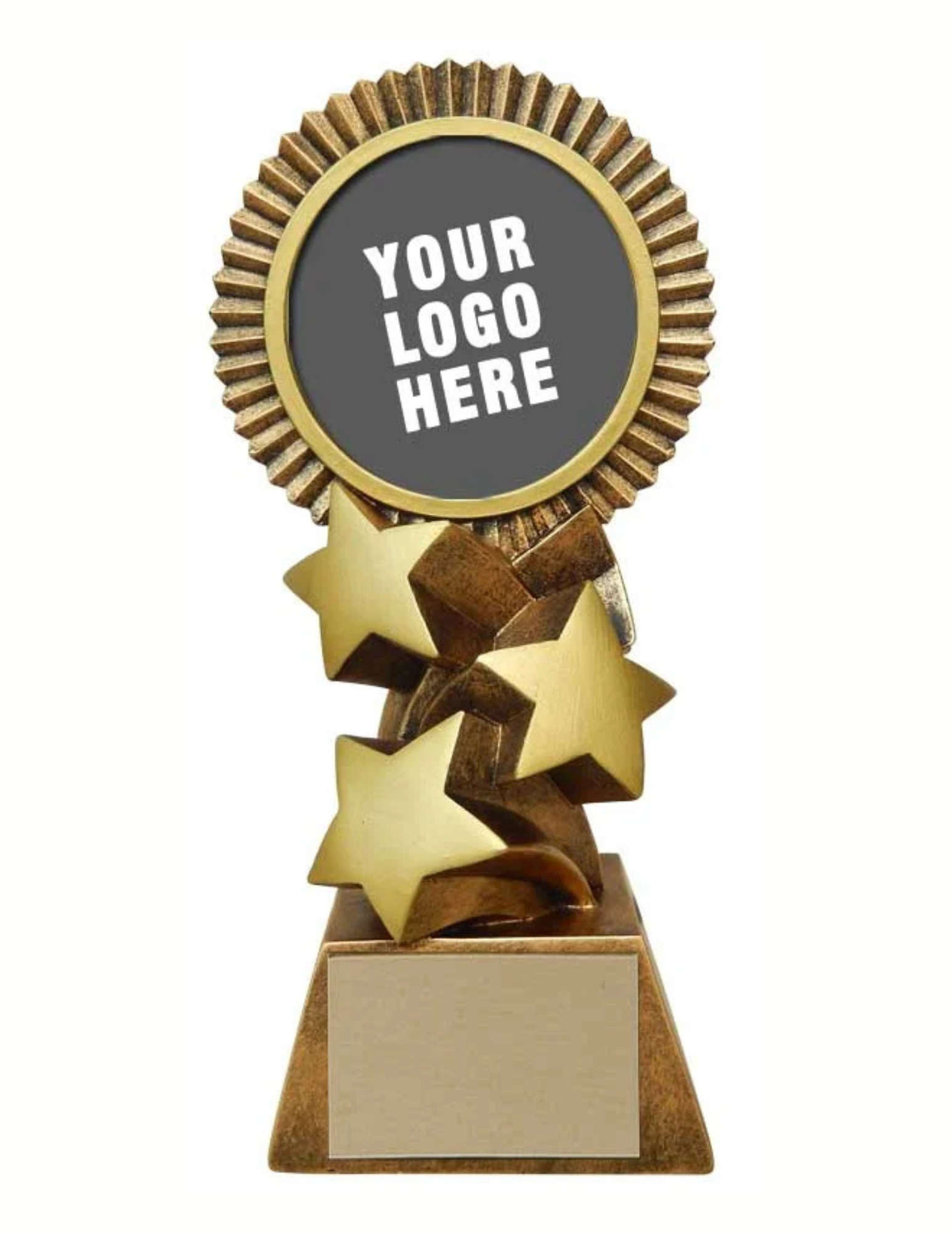 Custom Insert Blizzard Resin Award
