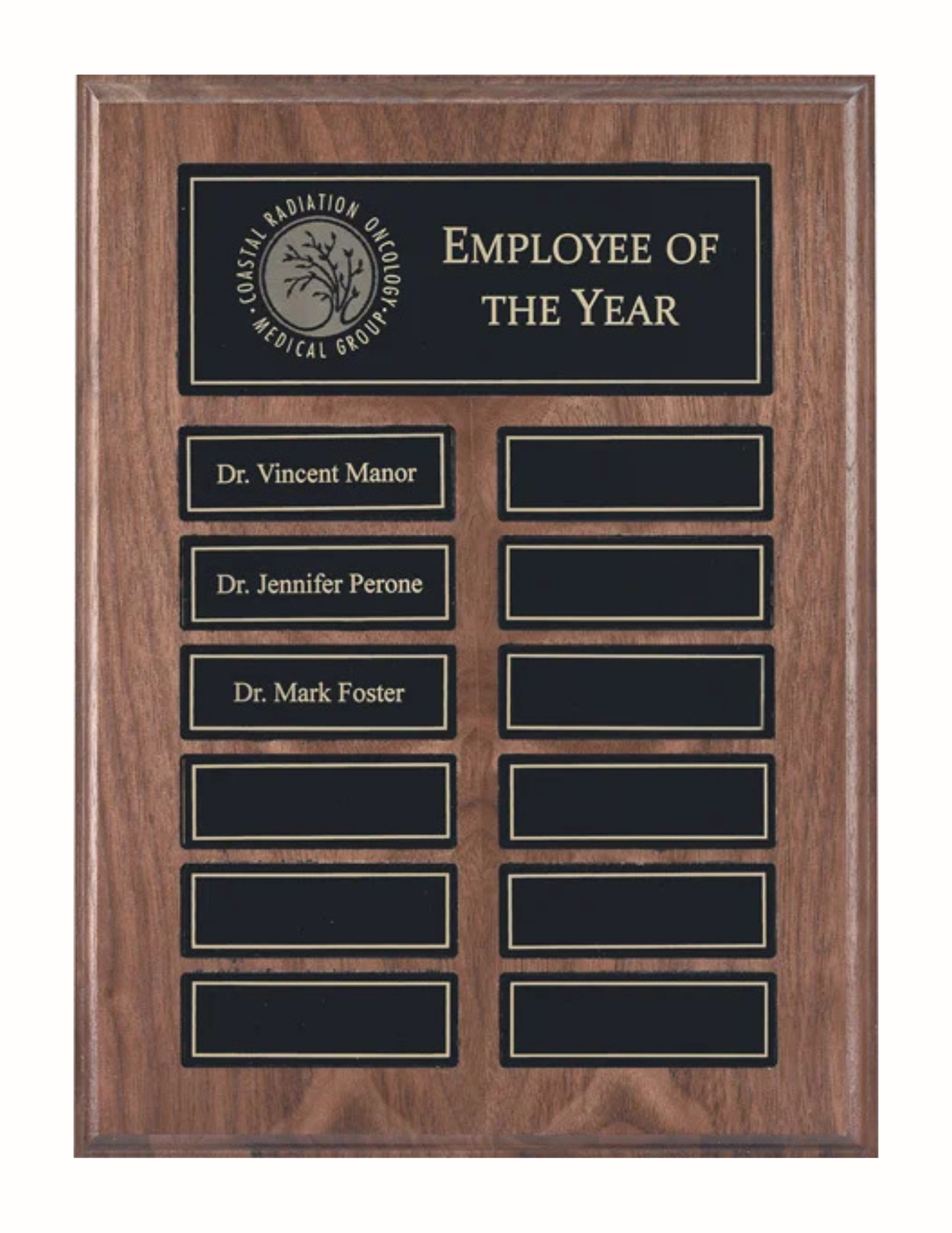 Veneer Annual Plaque- 2 Sizes (Includes Header Engraving)