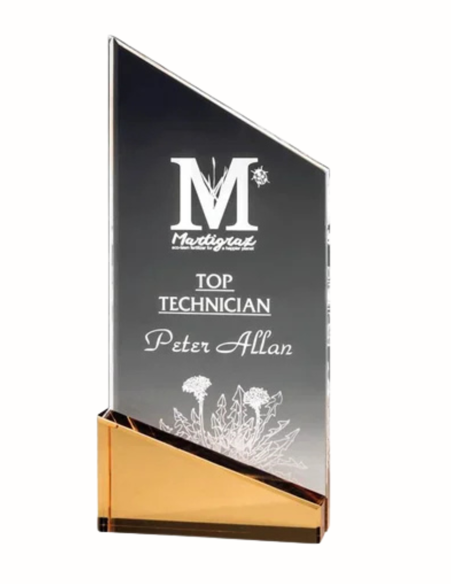 Acrylic Gold Peak Award