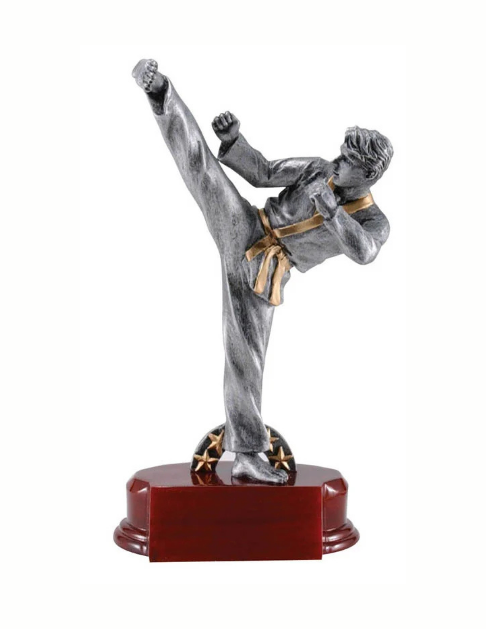 Karate Silver Award 9" (Includes Engraving)
