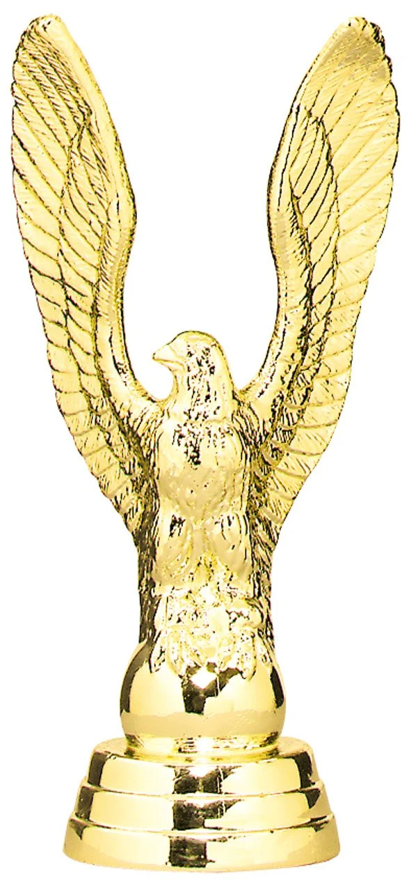 8181-1.jpg