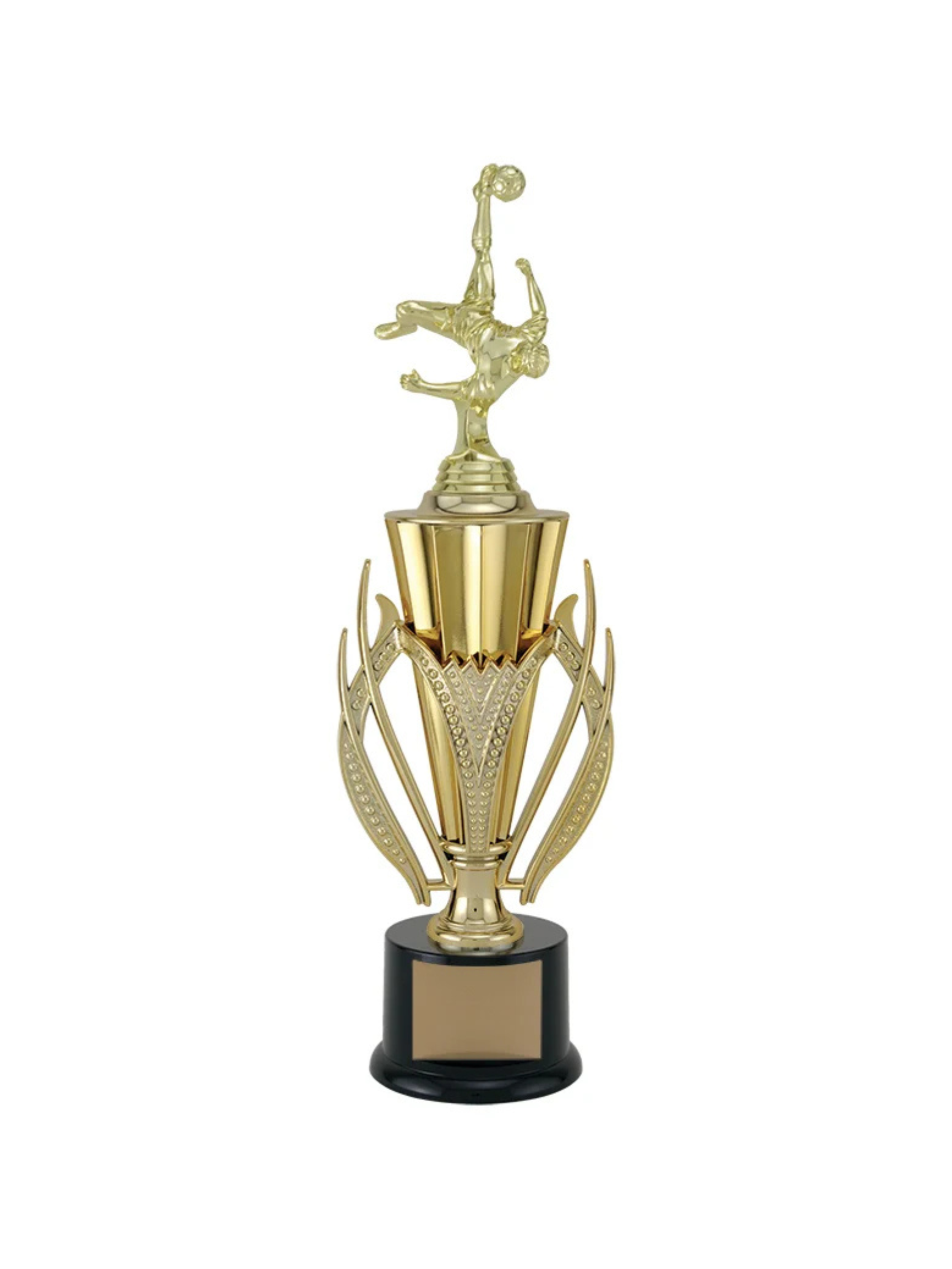 Untitled design (81).png