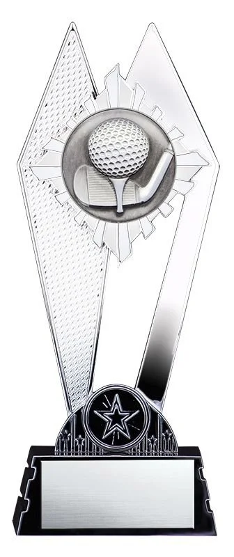 citadel golf silver 3.jpg