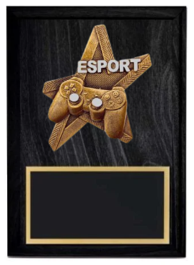Pro Star Esport Plaque- 2 Sizes (Includes Engraving)