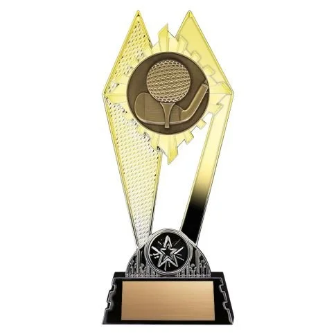 citadel golf gold 2.jpg
