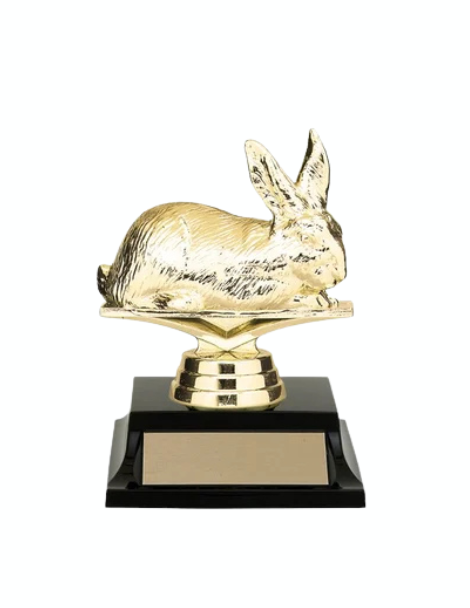 Rabbit Trophy