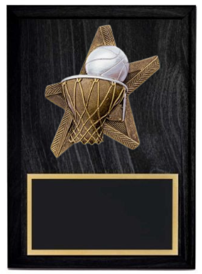 Pro Star Basketball Plaque- 2 Sizes (Includes Engraving)