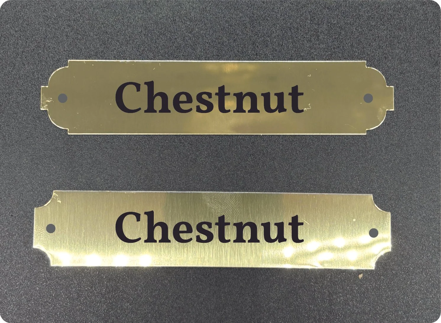 BRASS HALTER PLATE.jpg