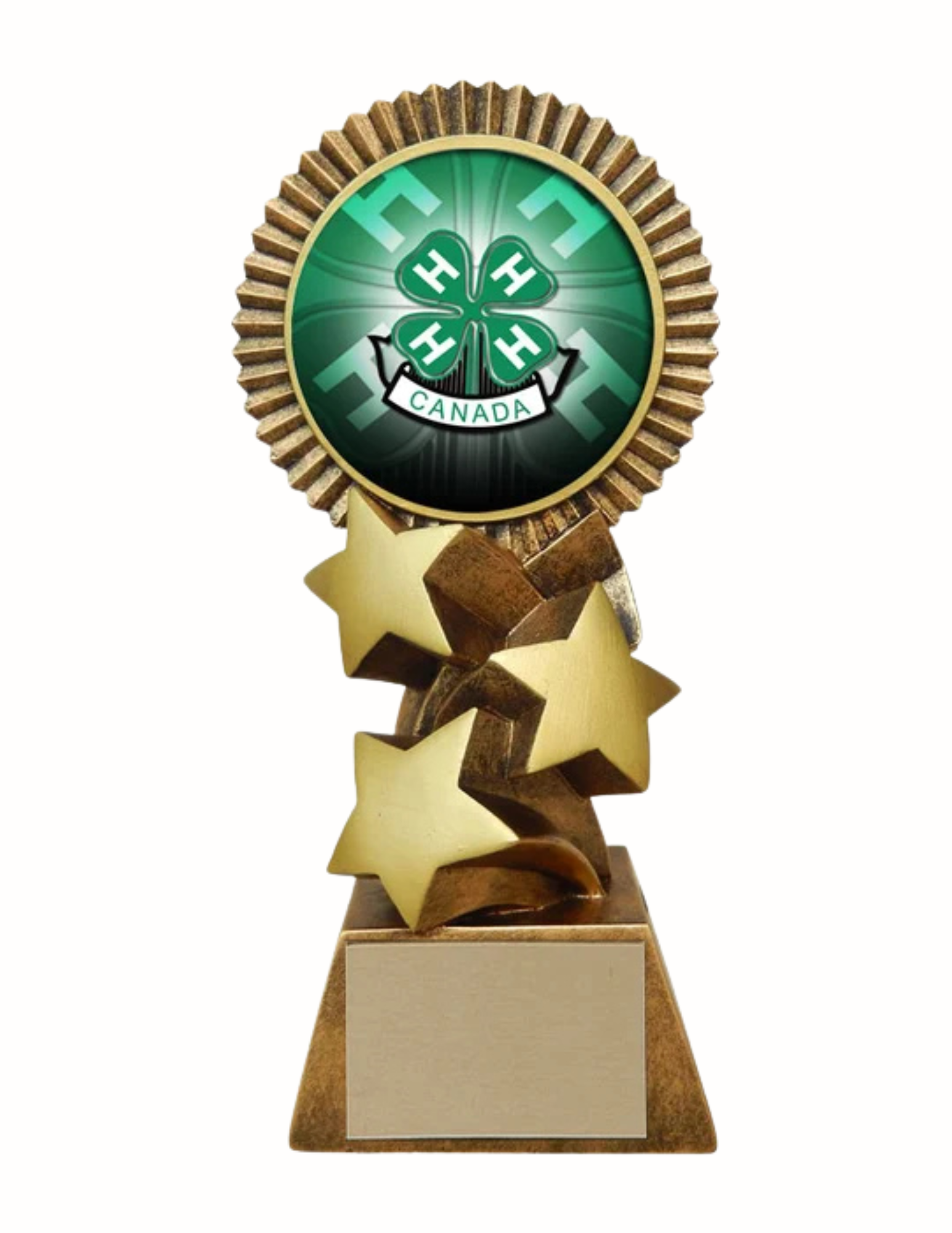 Blizzard 4-H Award 6.5" (Includes Engraving)