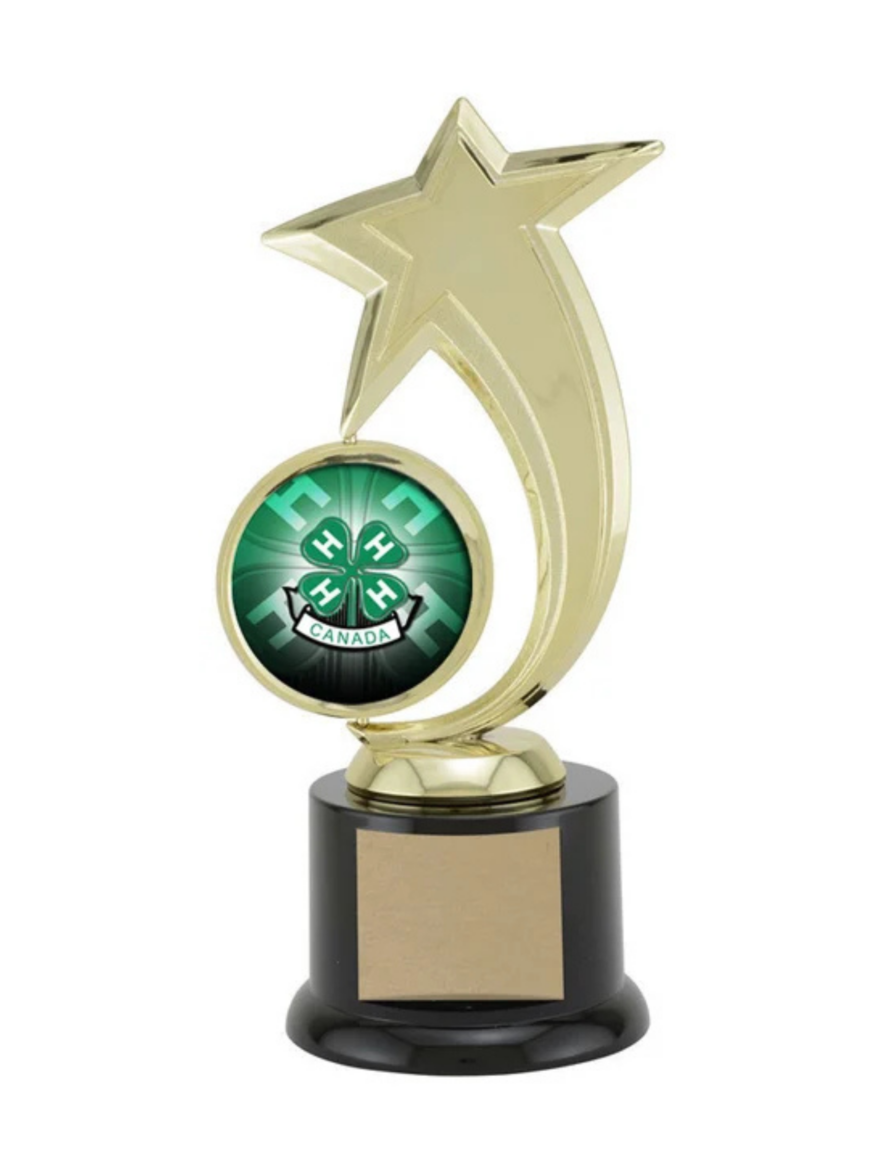 Star Spinner 4-H Trophy 8" (Includes Engraving)