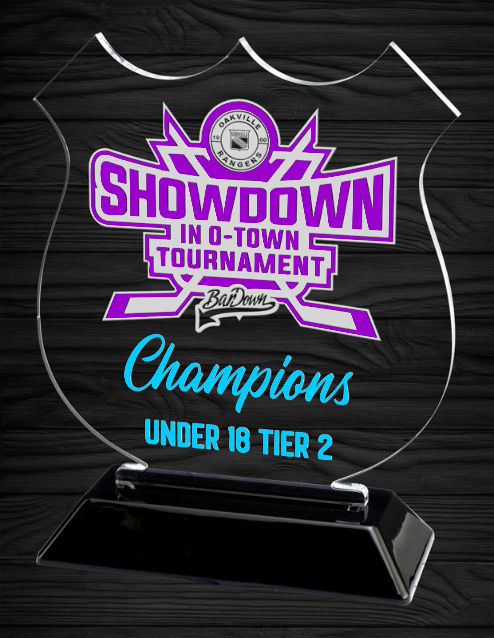 Snap-In Acrylic Shield Award.jpg