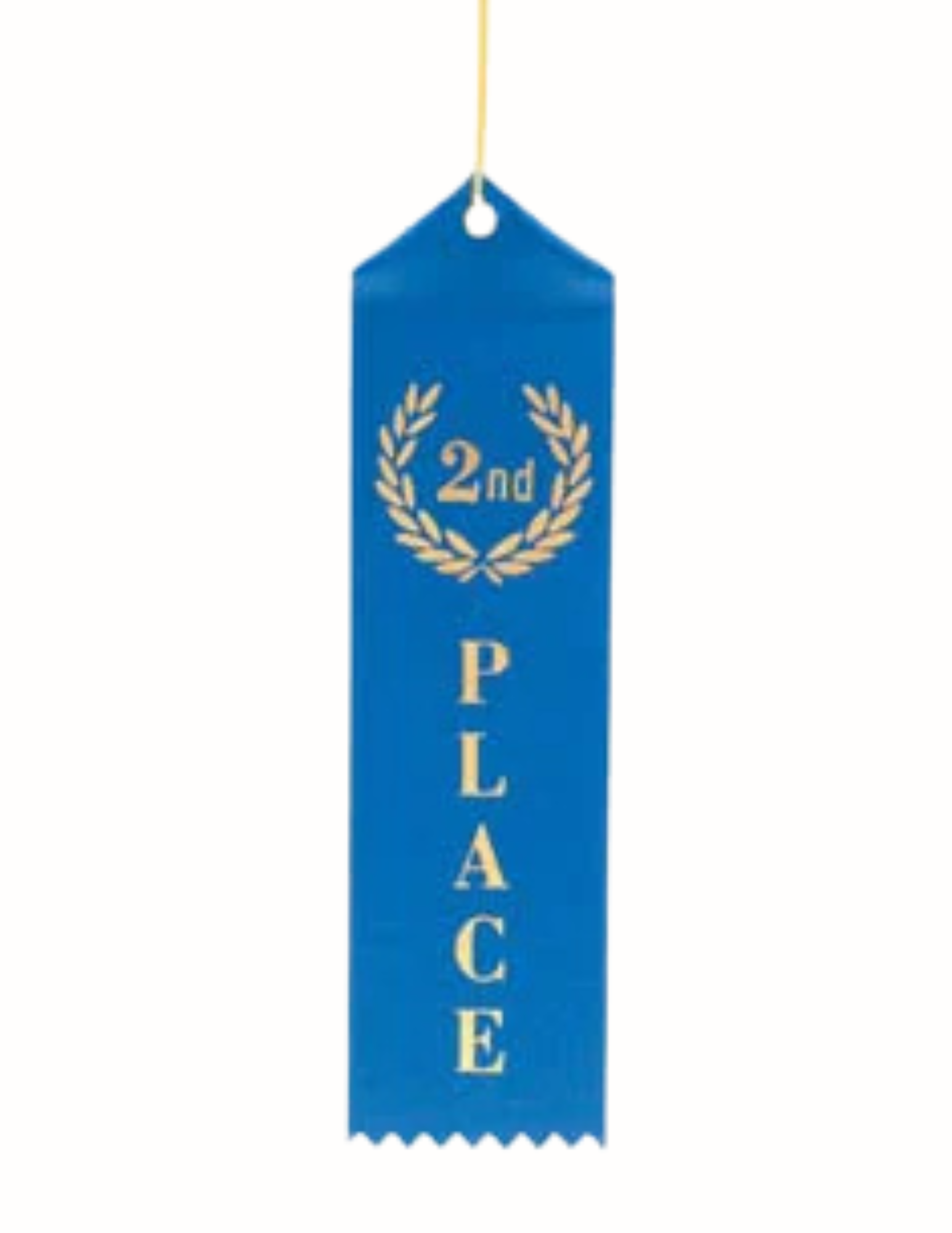 2nd Place Blue Ribbon 2 x 8" peaked top with eyelet, card & string