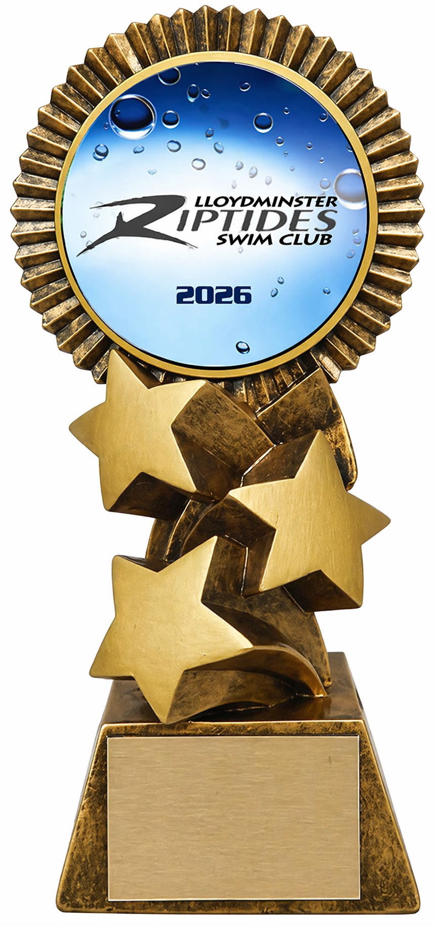 Blizzard Swimming Award 6.5" (Includes Engraving)