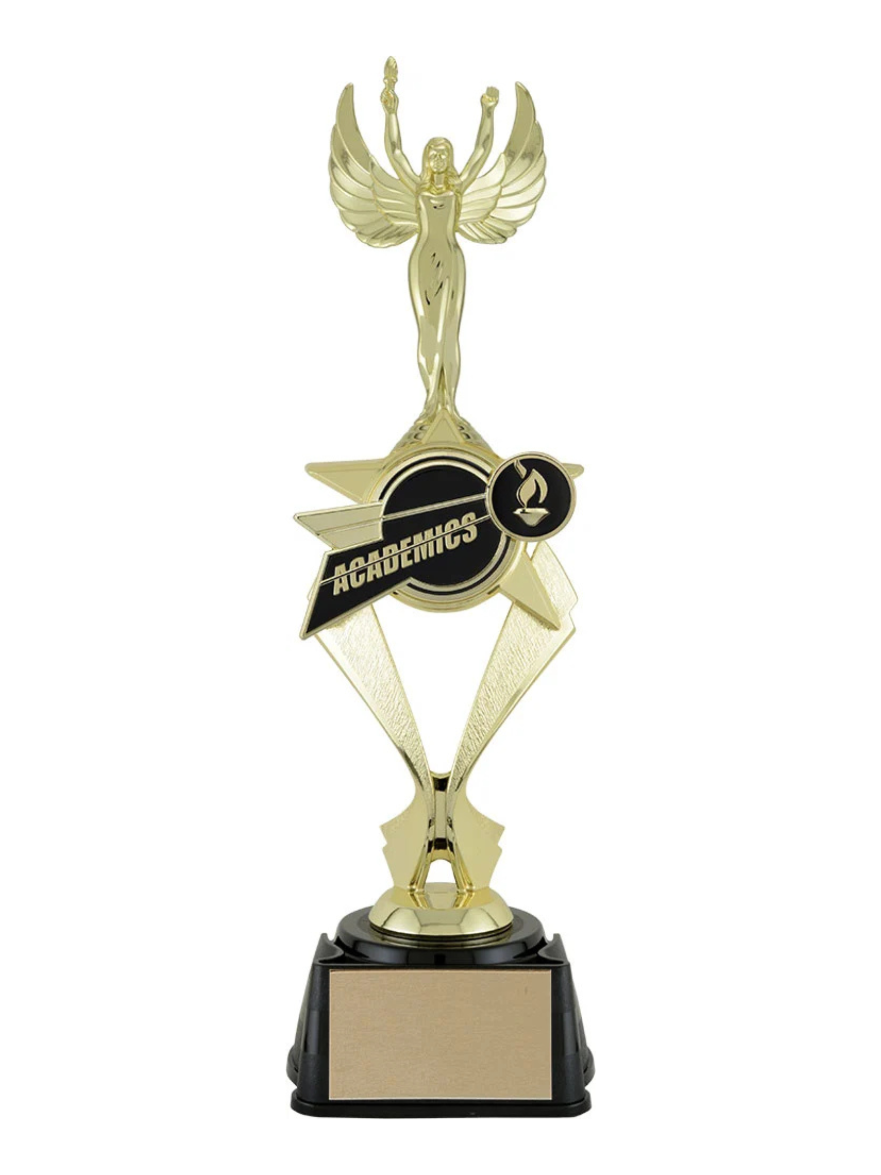 Bullseye Academic Trophy 12" (Includes Engraving)