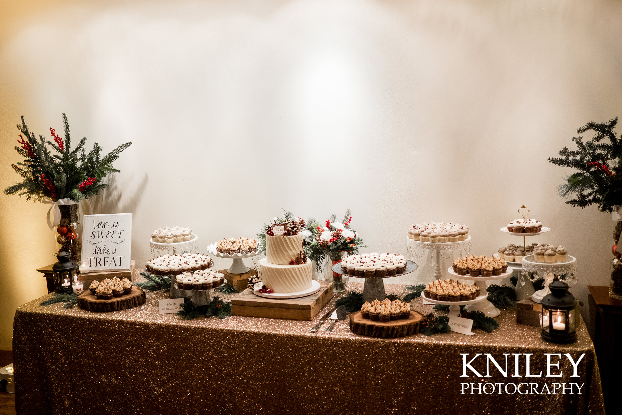 019-Kniley-Photography-Westminster-Chapel-Wedding-Venue-Picture-8383.jpg