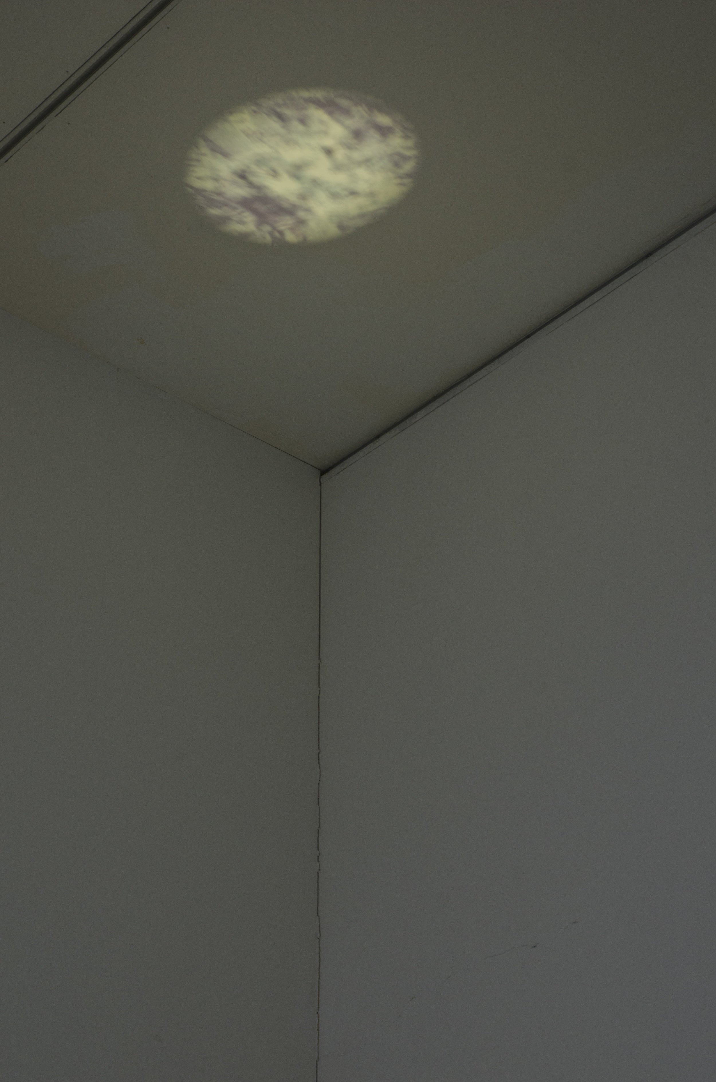 openstudio_HNP4237.JPG