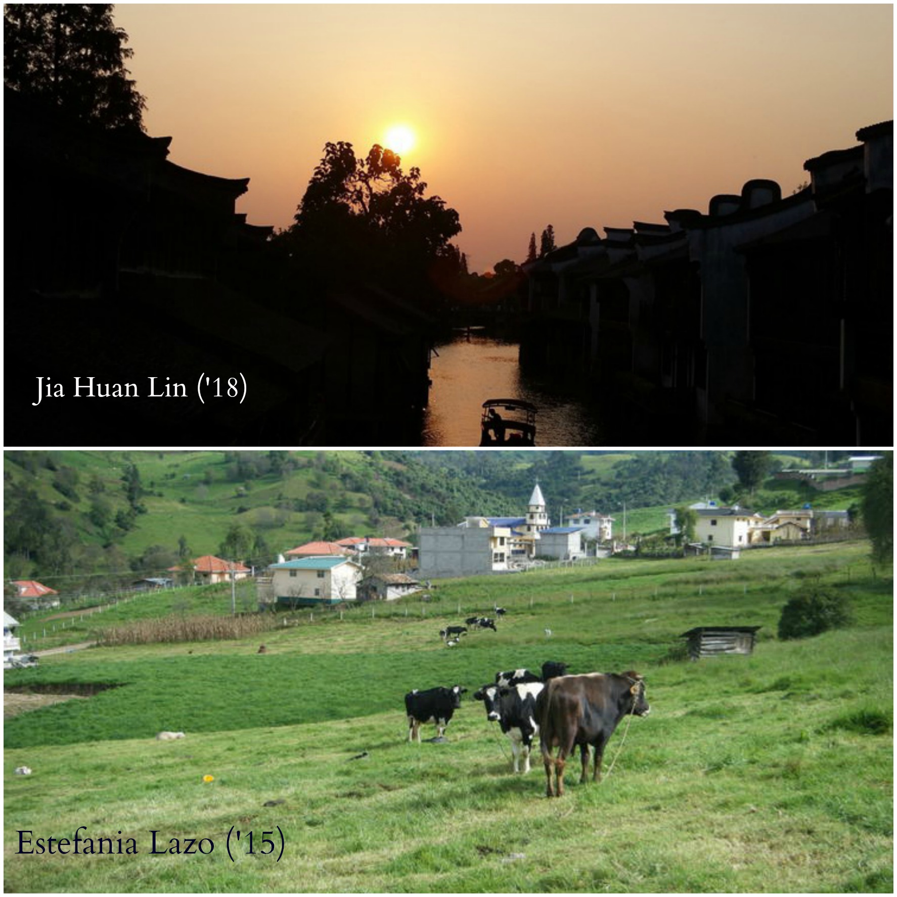 Winners of ACES Photo Contest