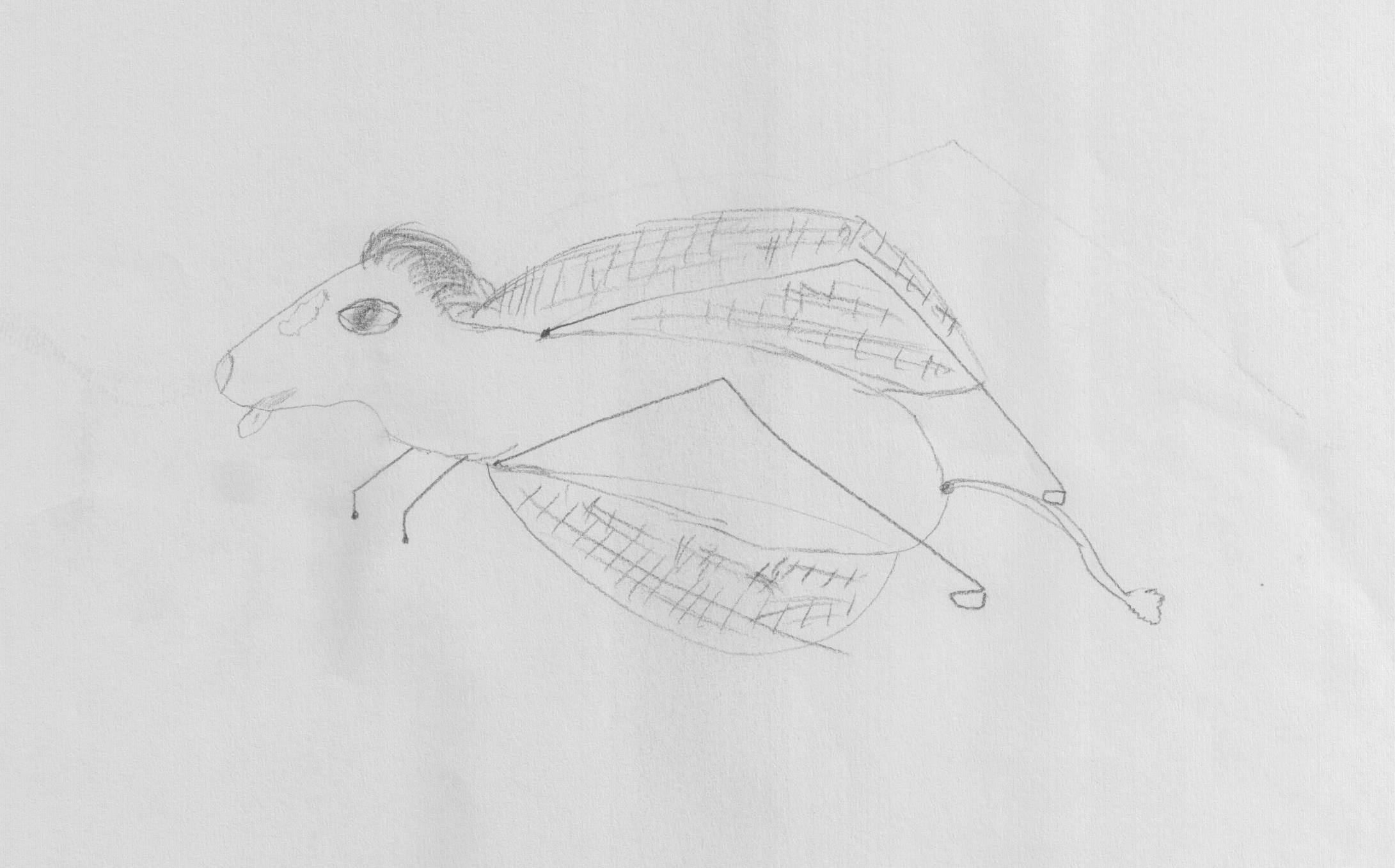 the horse-hopper by Kevin Dominguez ('19)