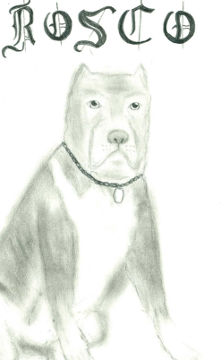 "Rosco" by Naomi Moreira ('19)