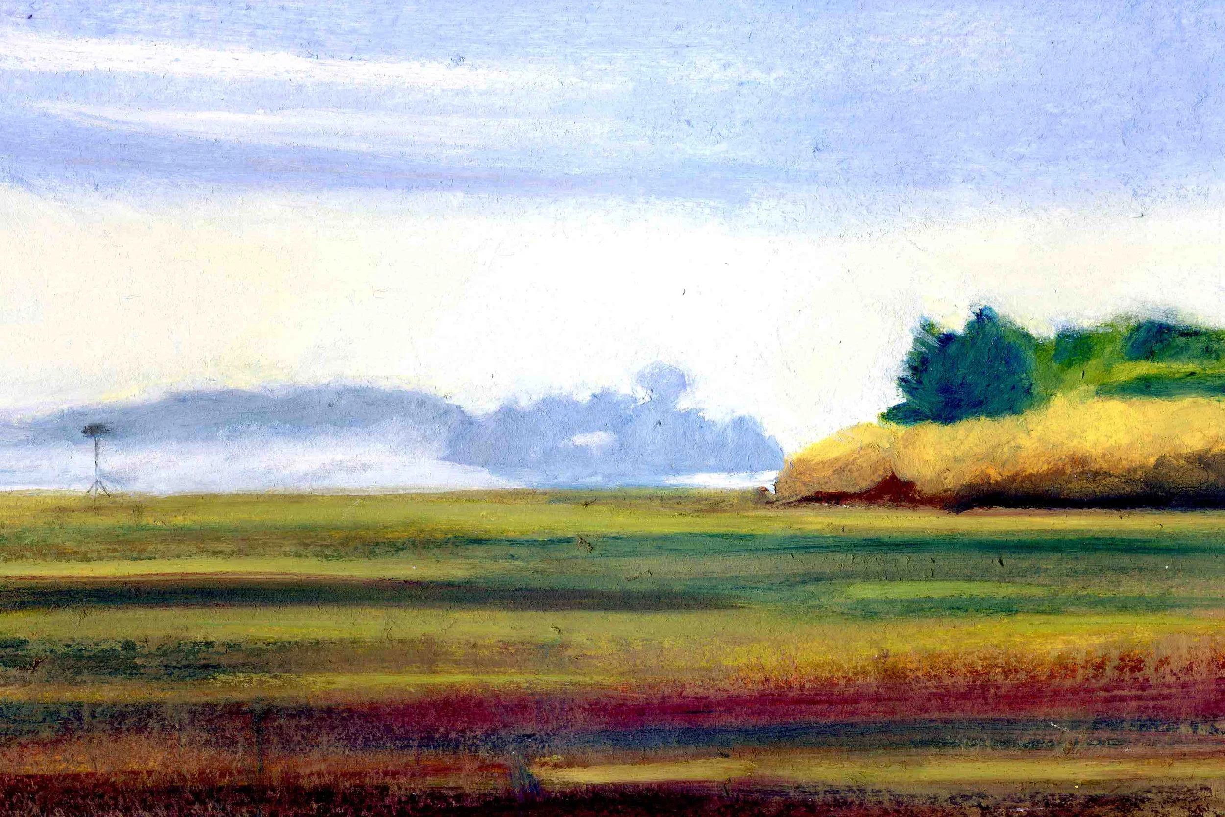 Marsh 3