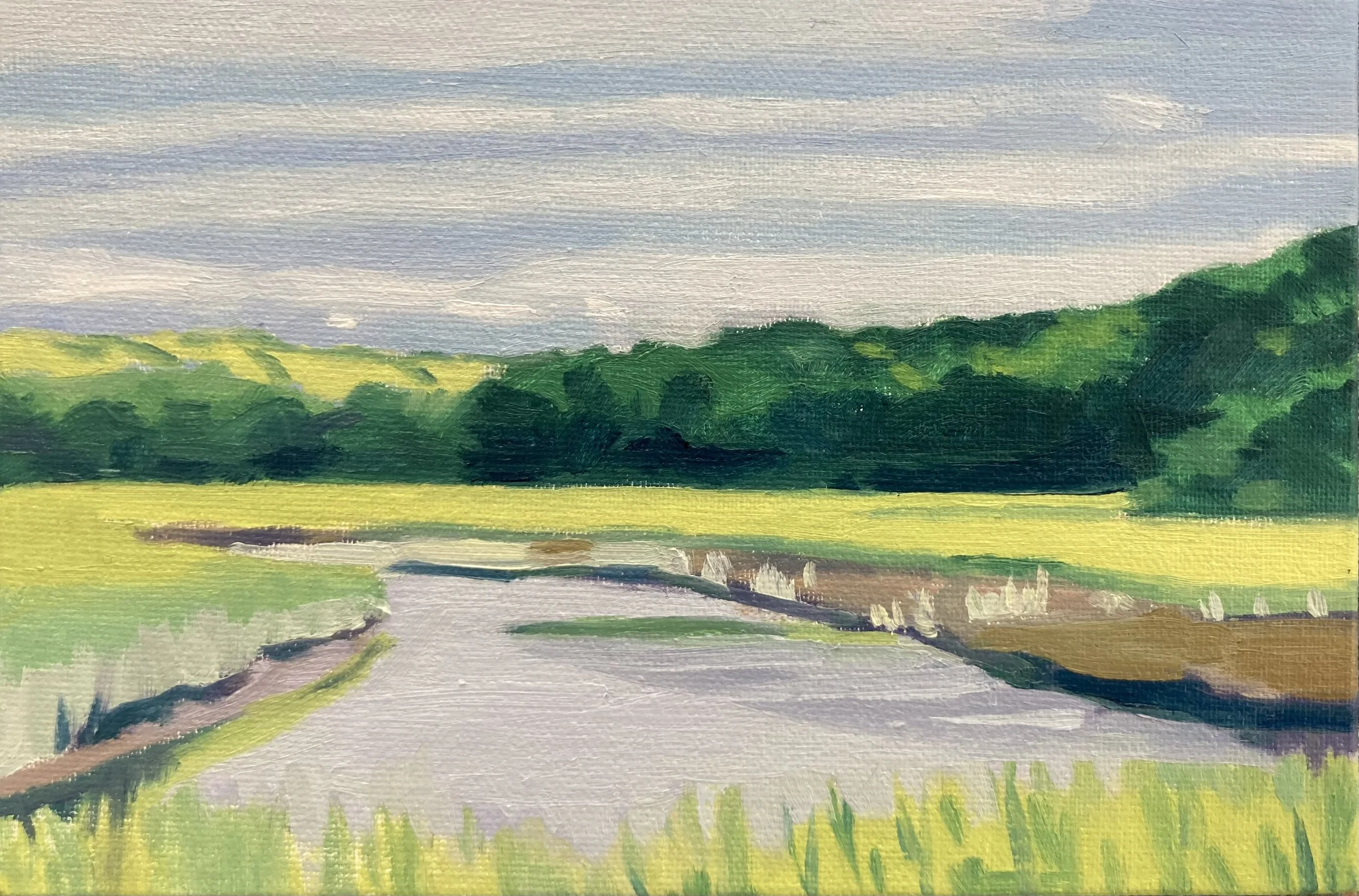 Spring Marsh