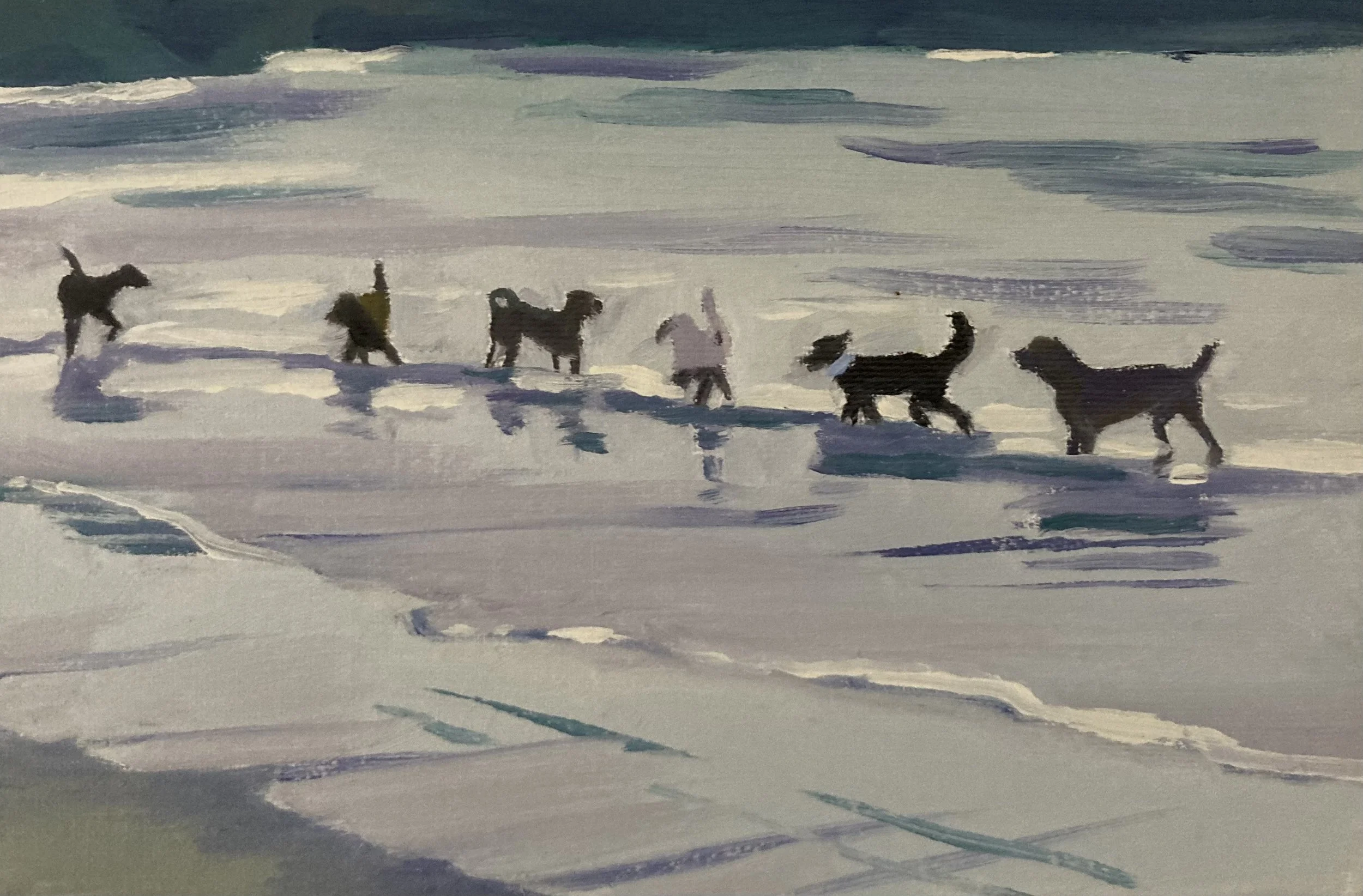 Surf Dogs