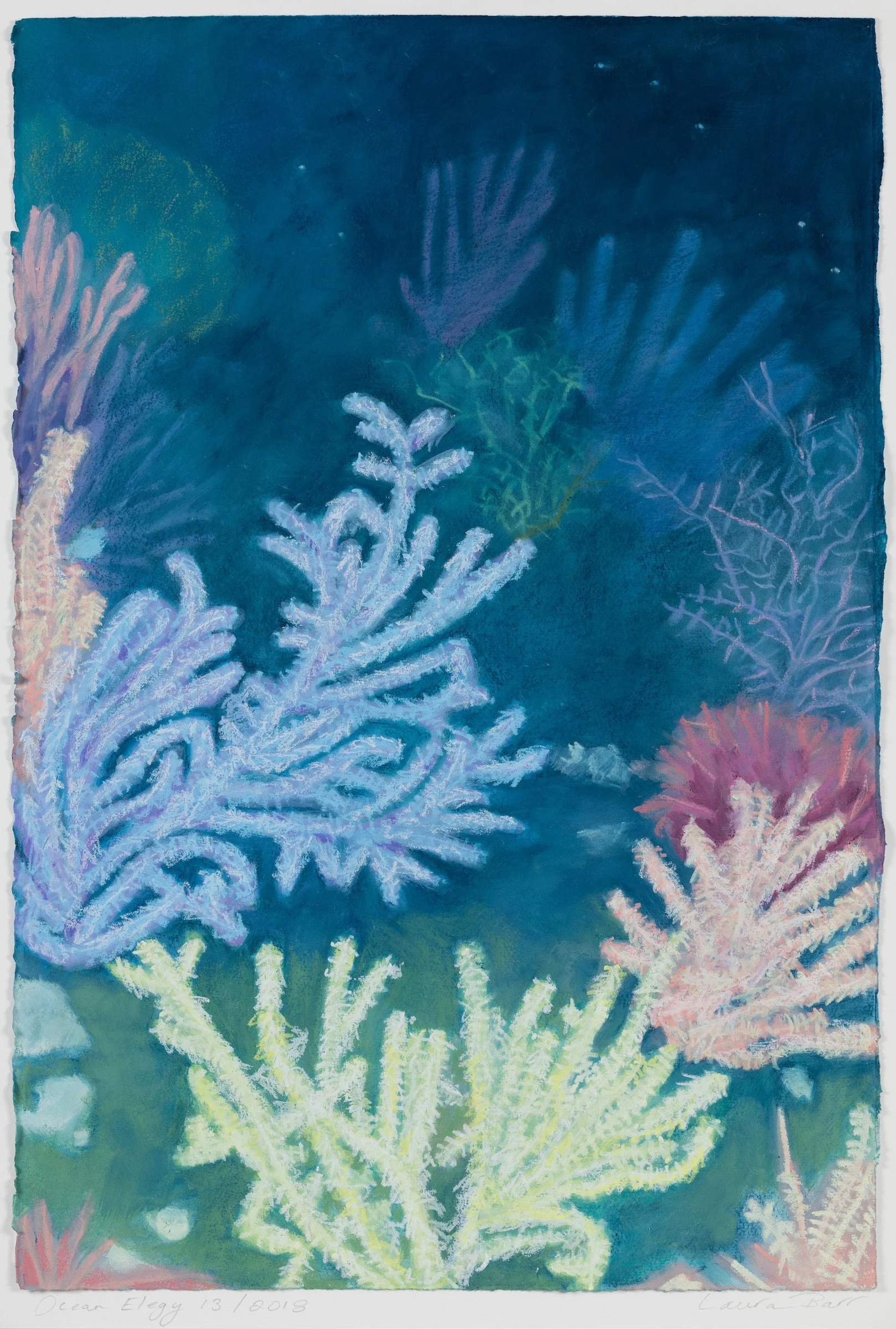 Ocean Elegy 13
