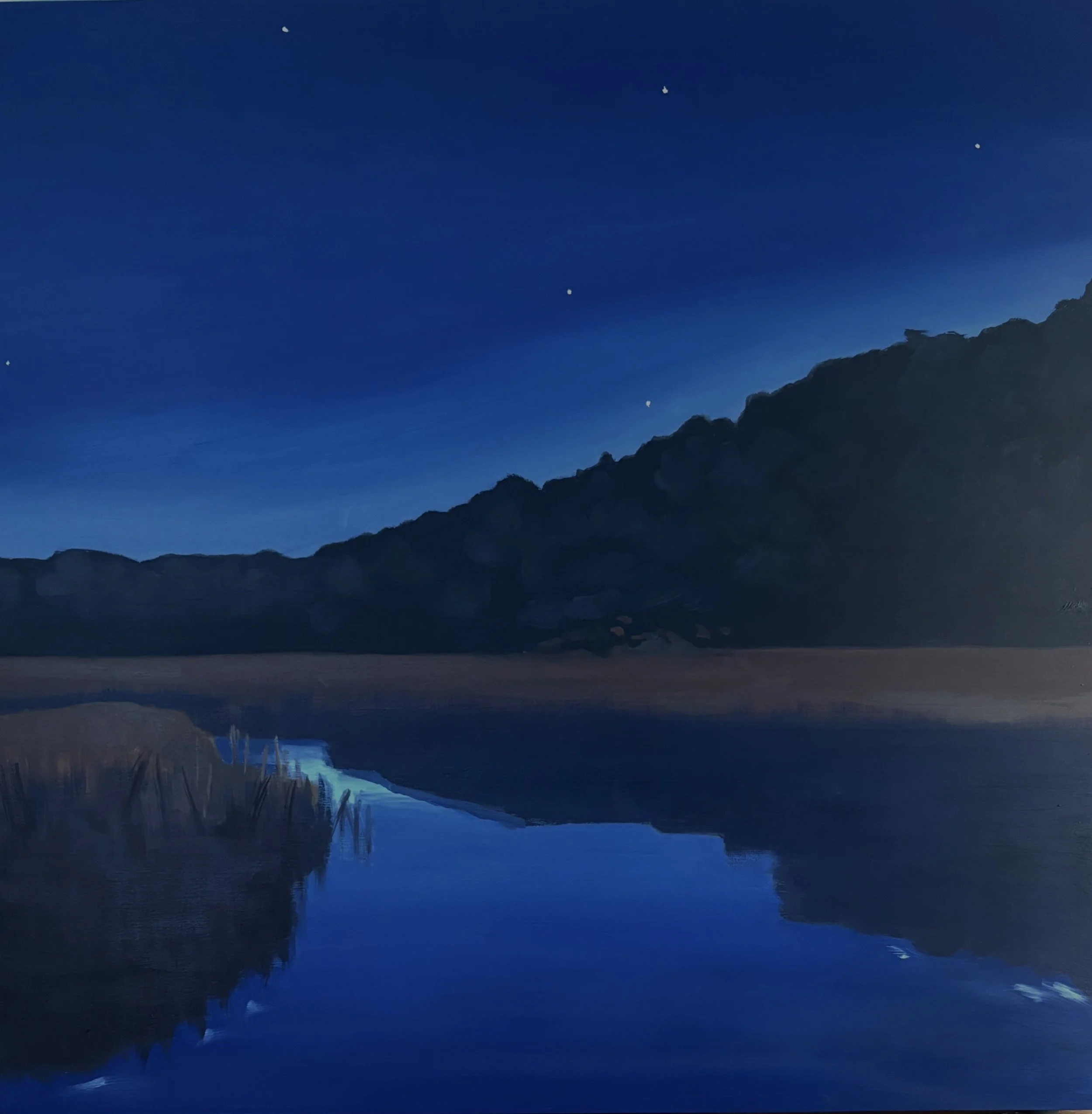 Night Walk, Comb Jellies