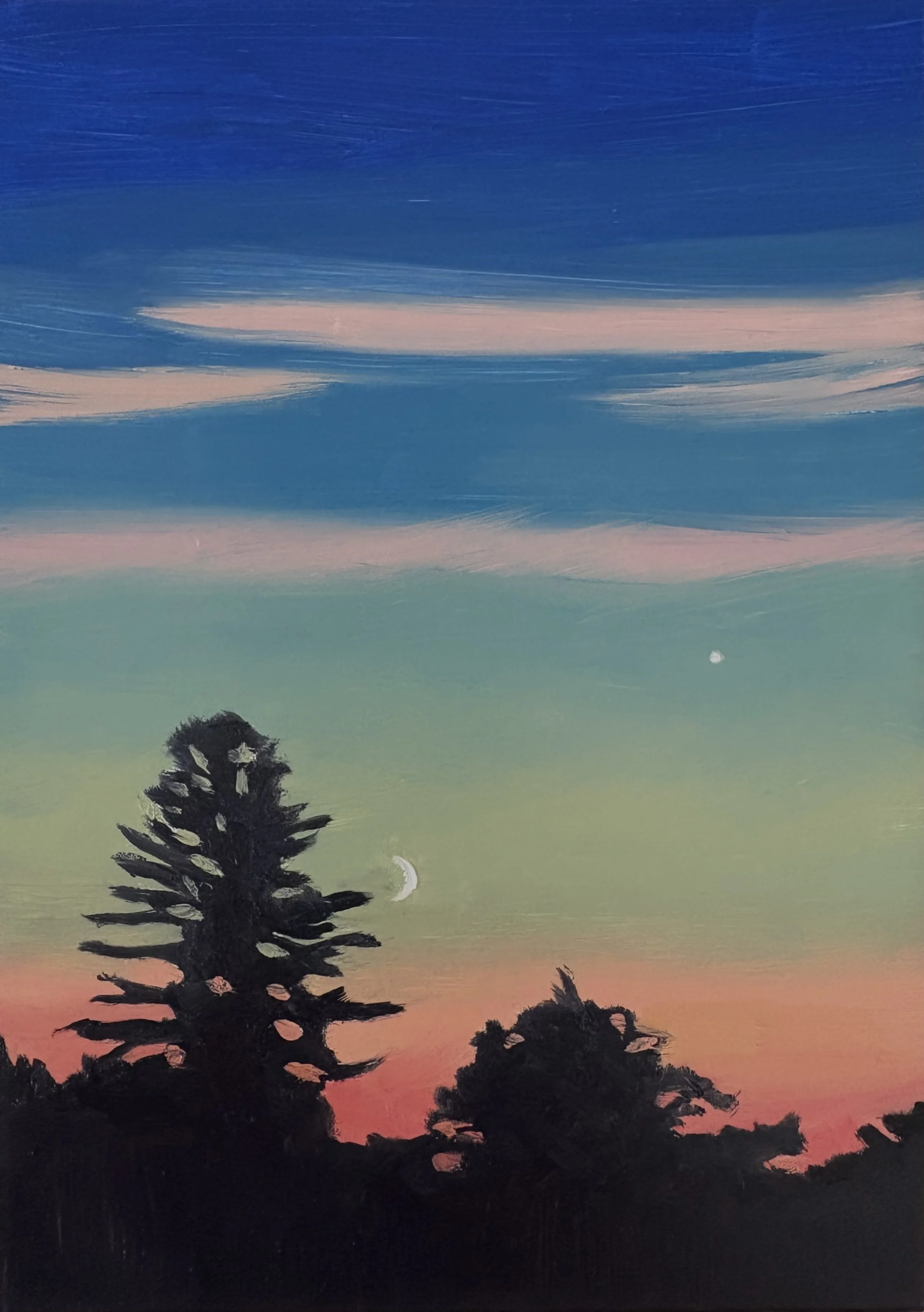 Look UP! 20 Winter Night