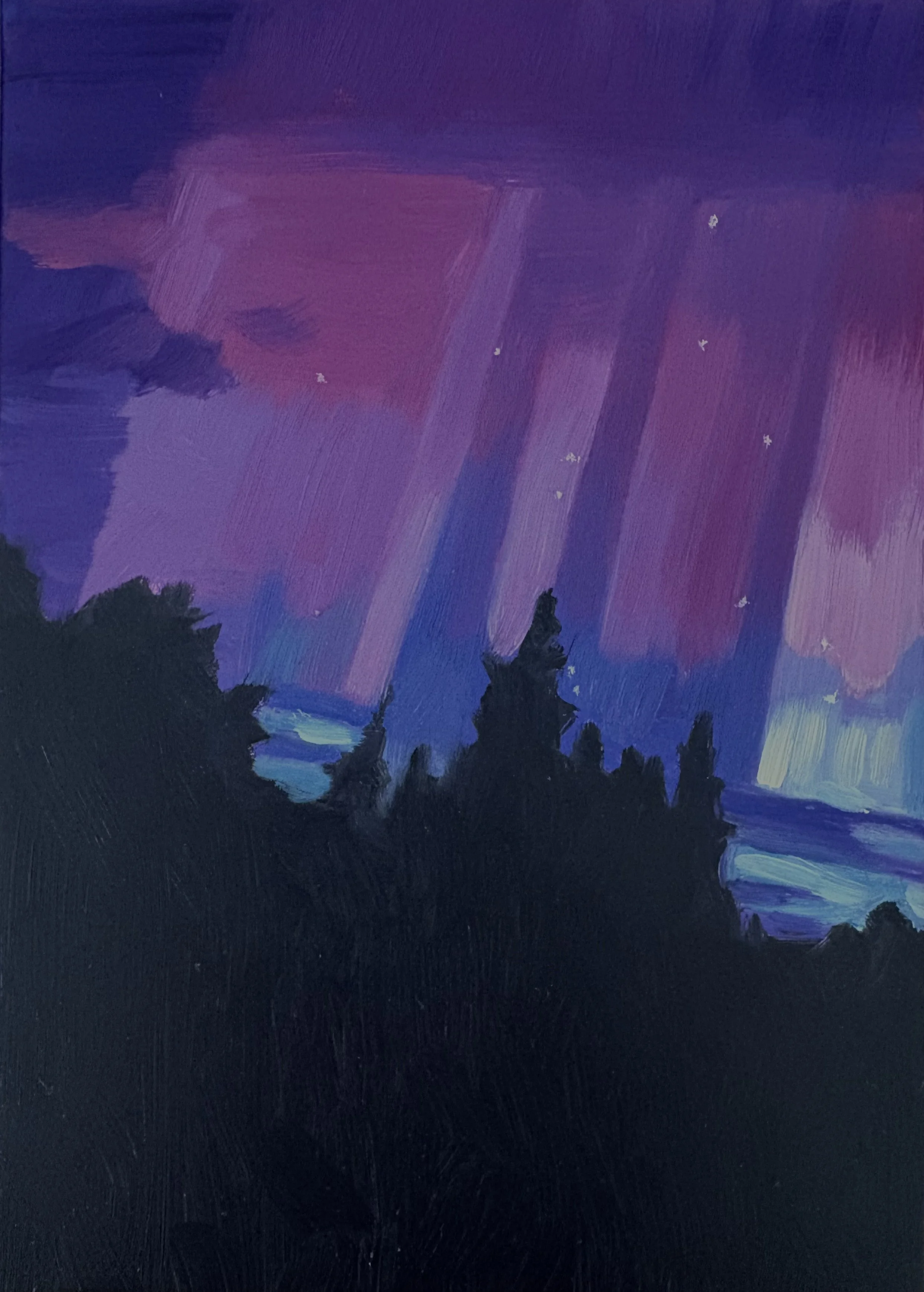 Look UP! Northern Lights 20