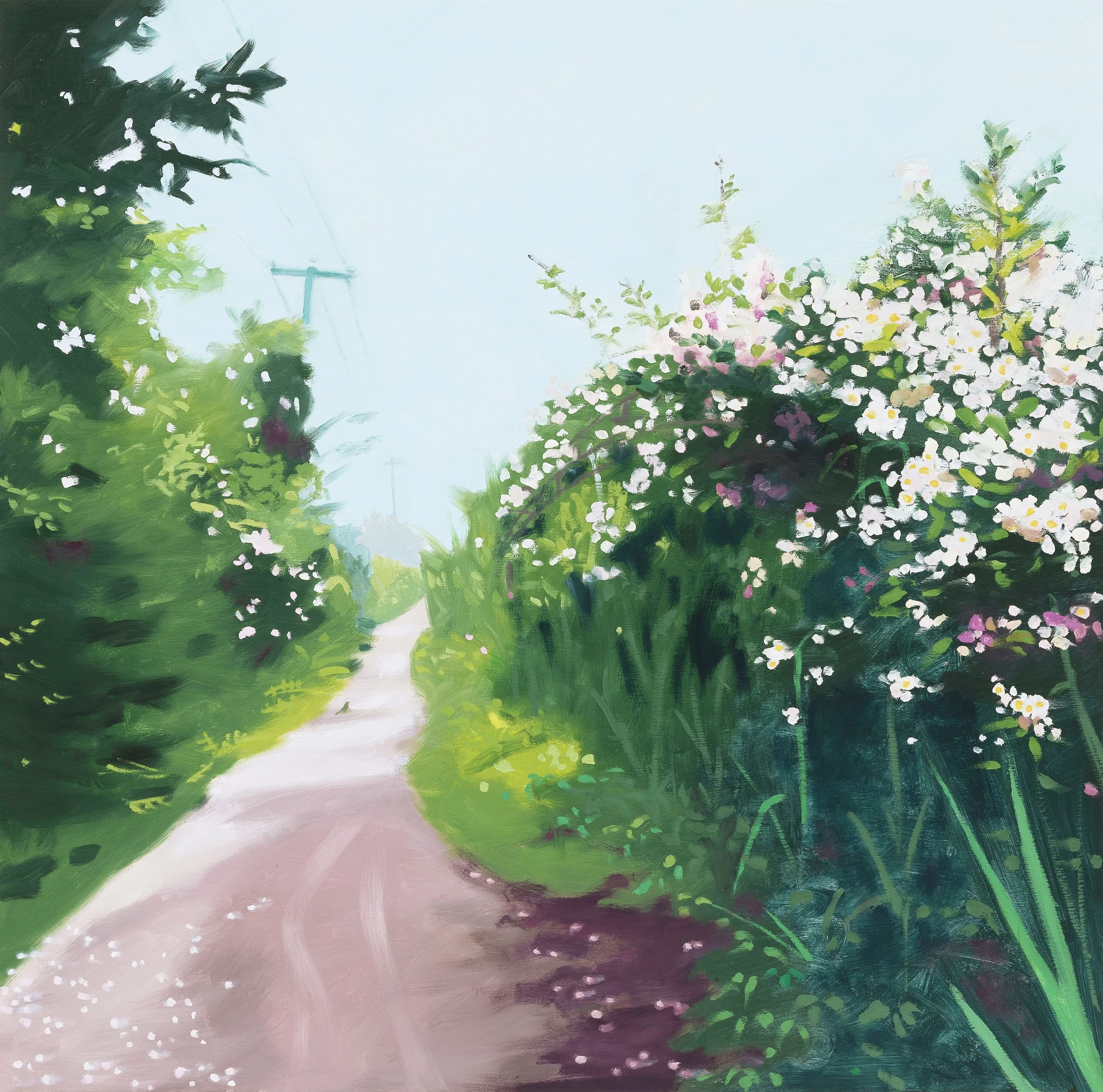 Wild Rose