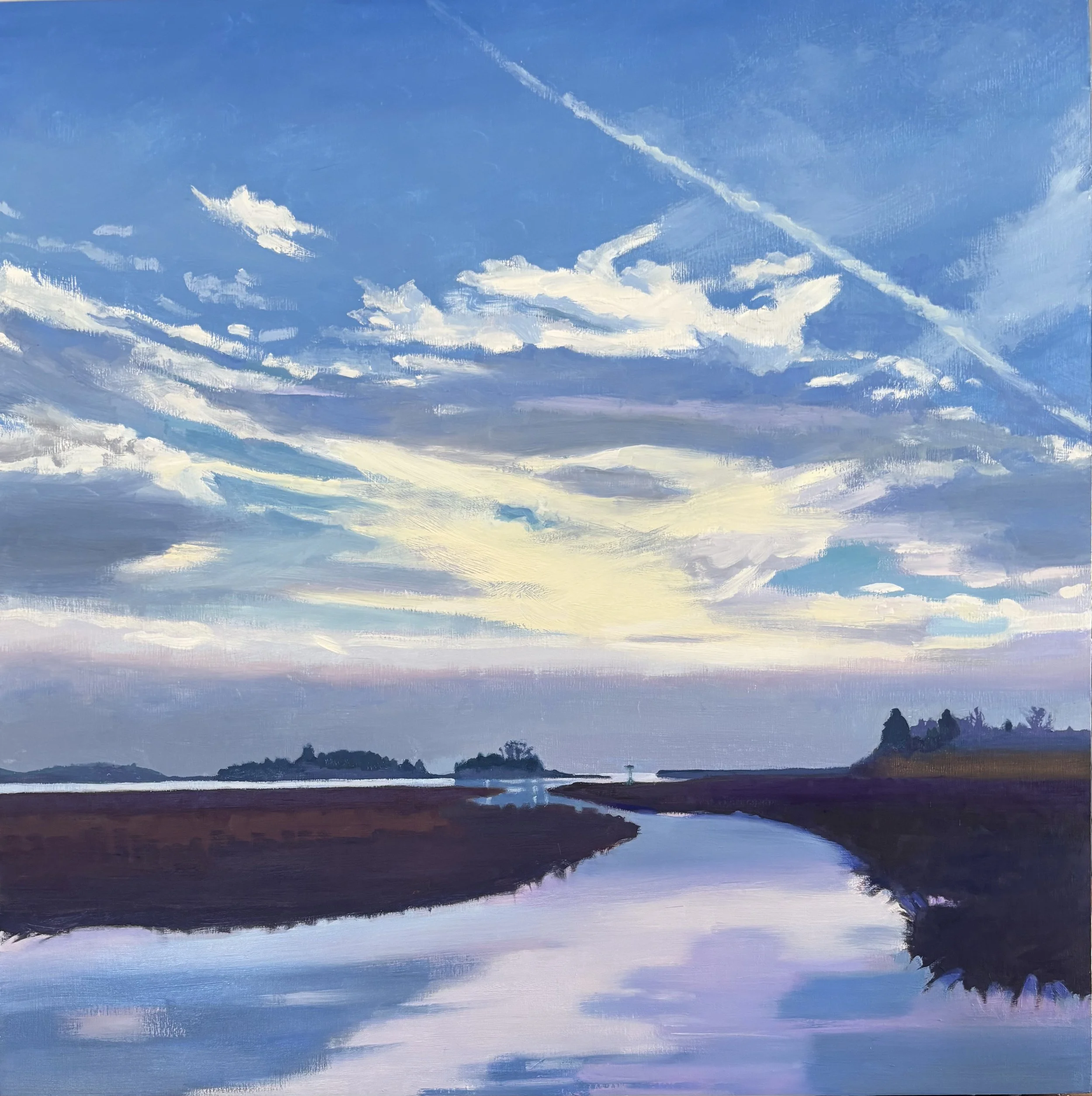 Osprey Morning