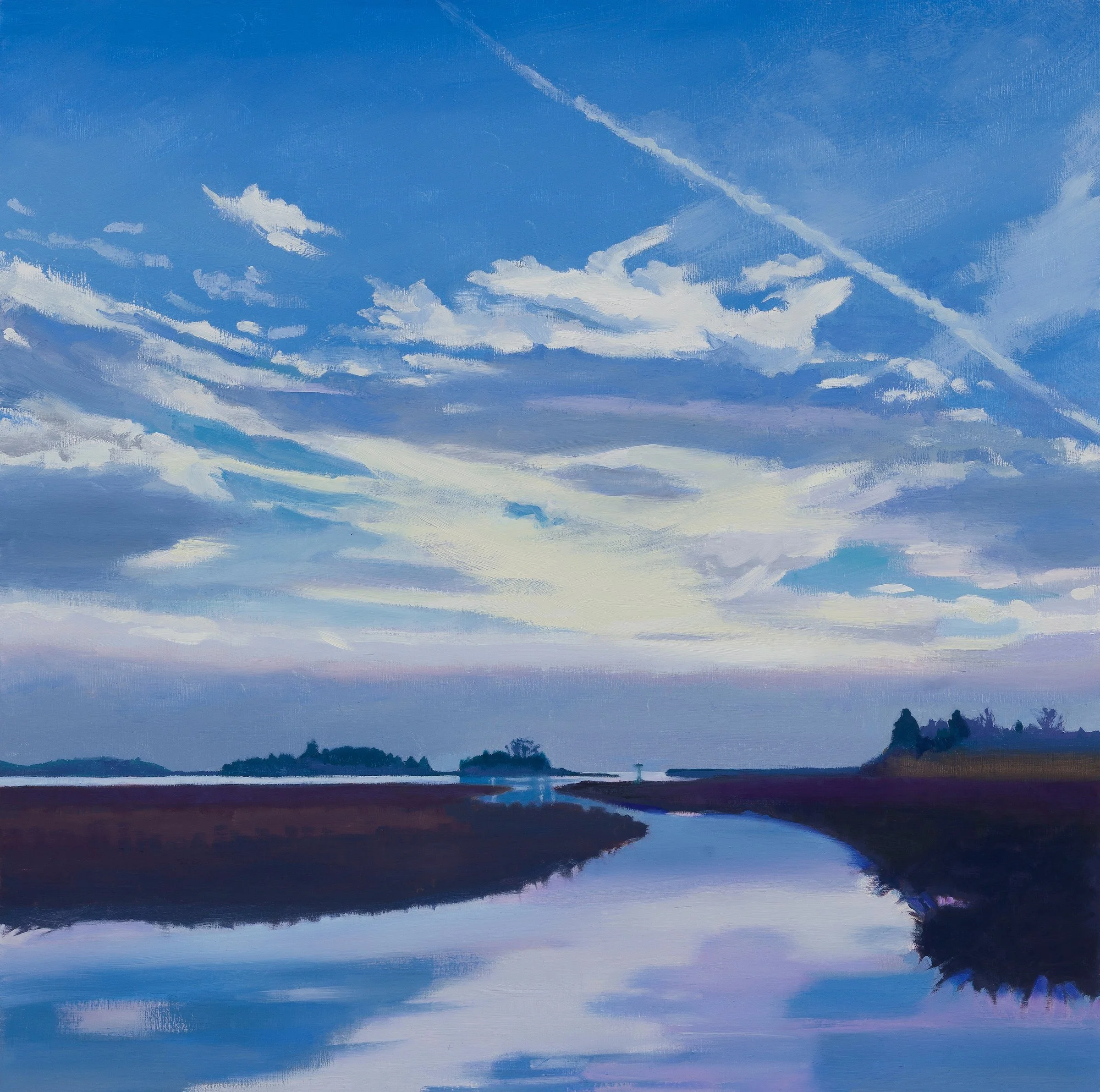 Osprey Morning