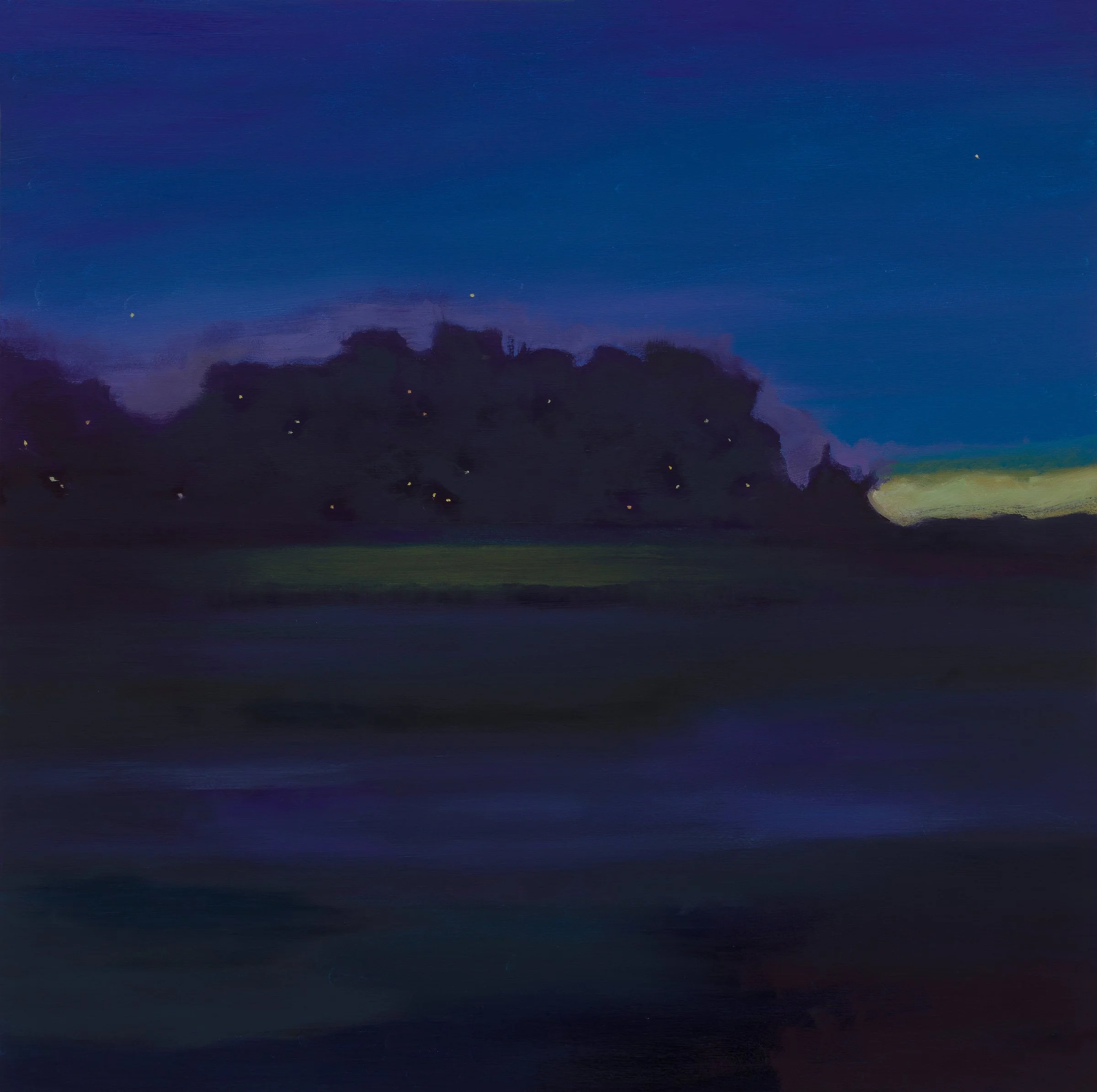 Searching For Fireflies