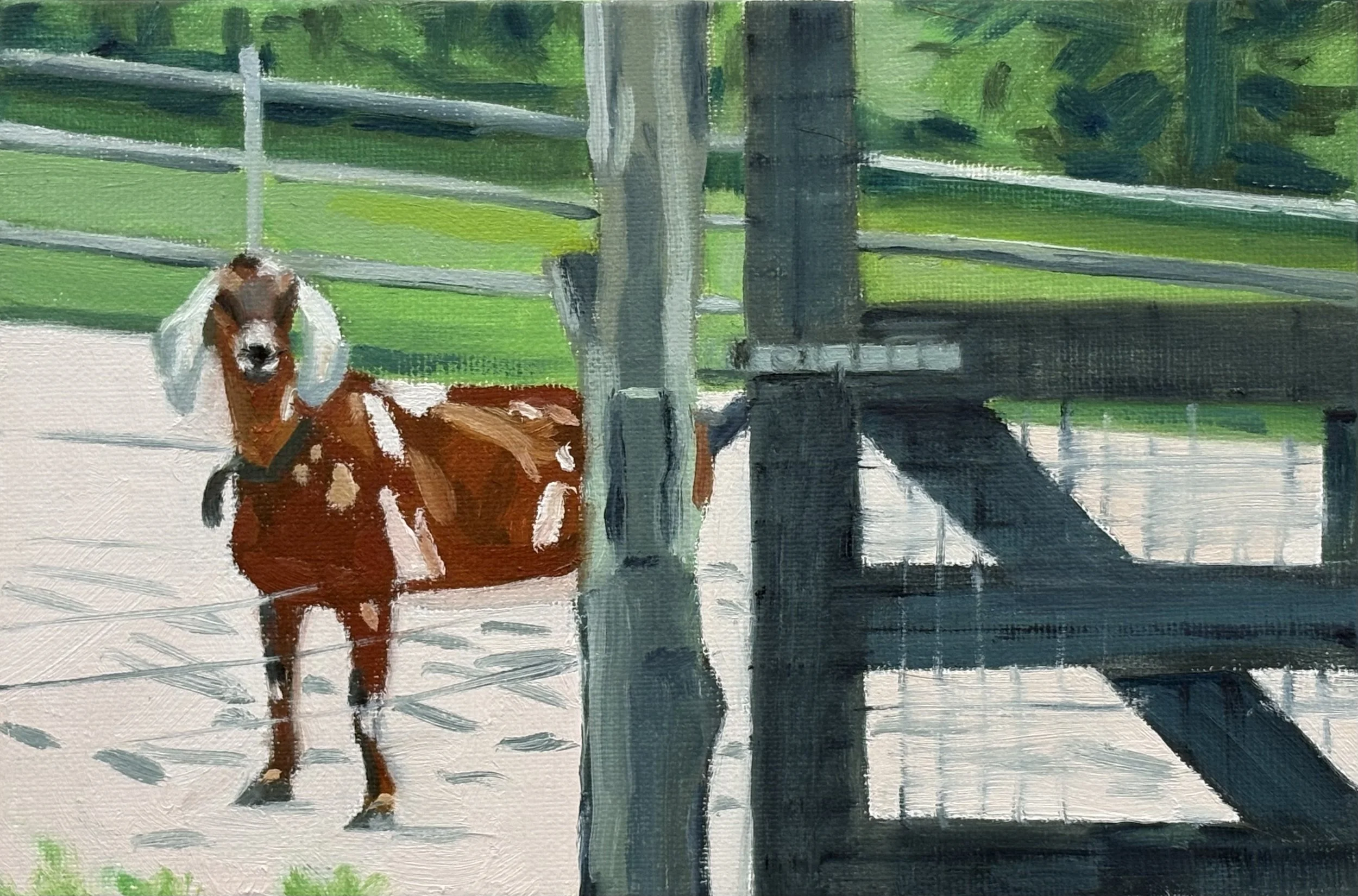 Deb's Goat