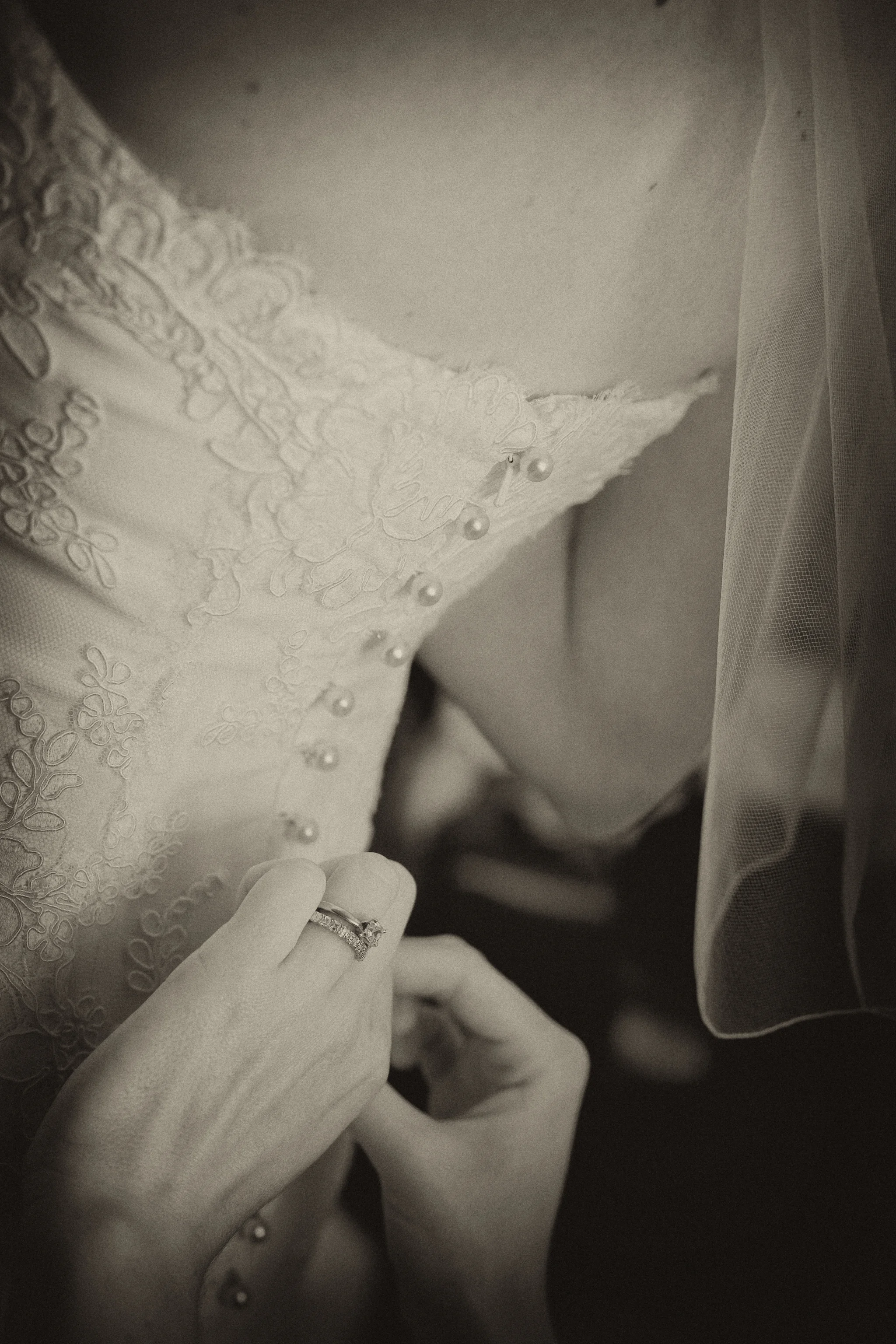IMG_9527-Edit.jpg
